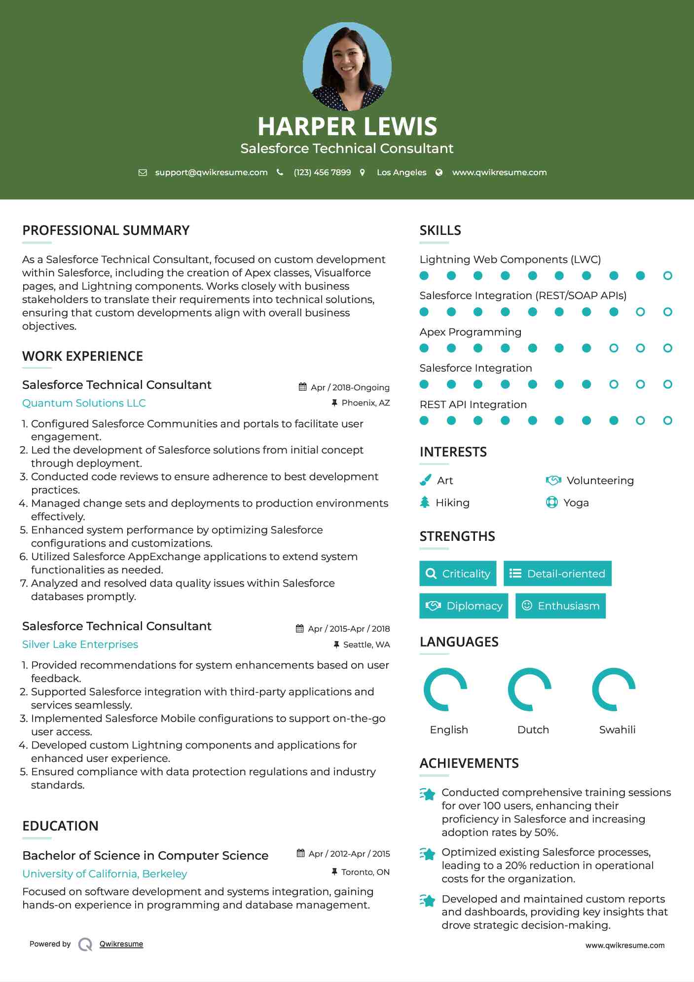 Salesforce Technical Consultant Resume Format
