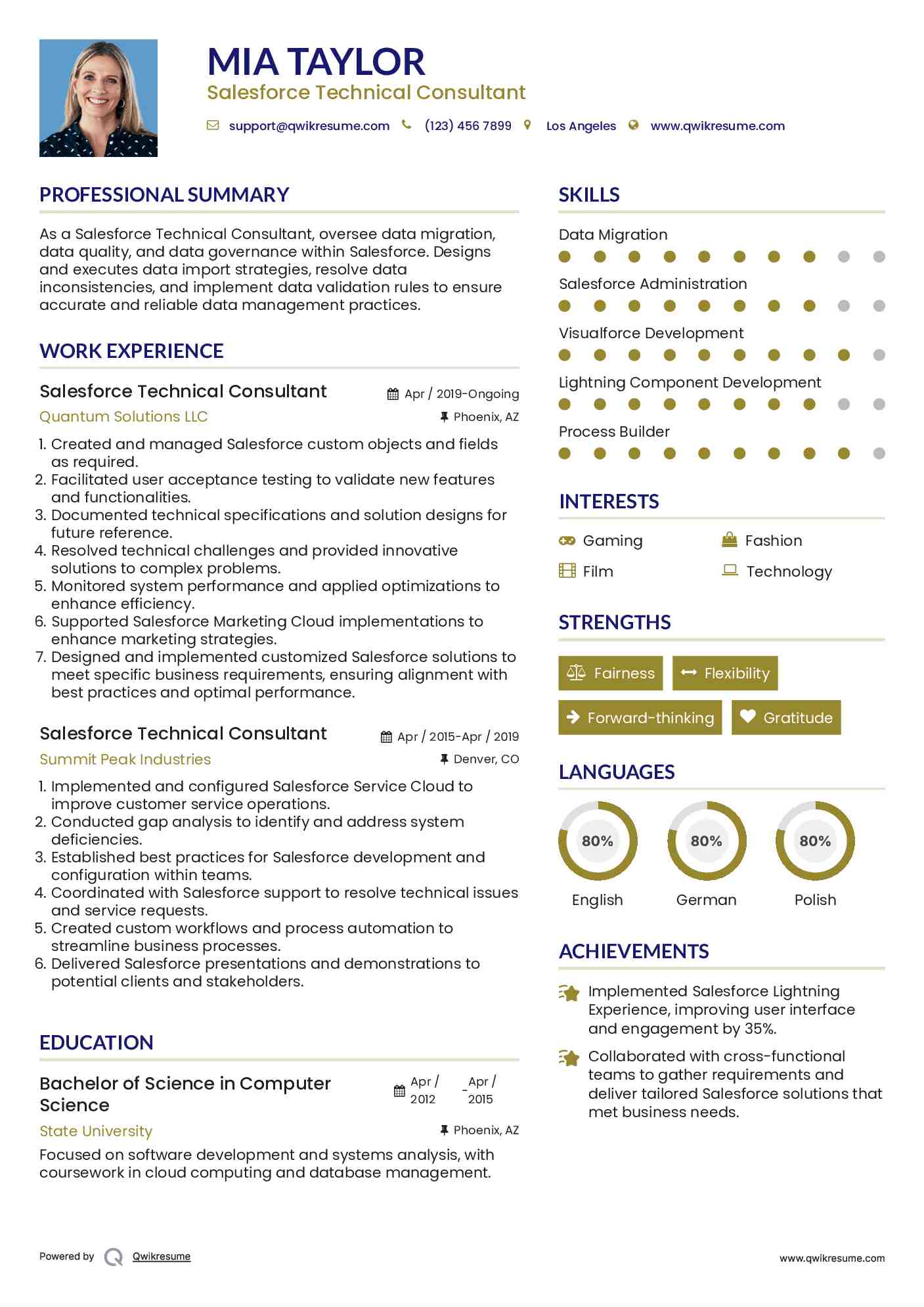 Salesforce Technical Consultant Resume Template