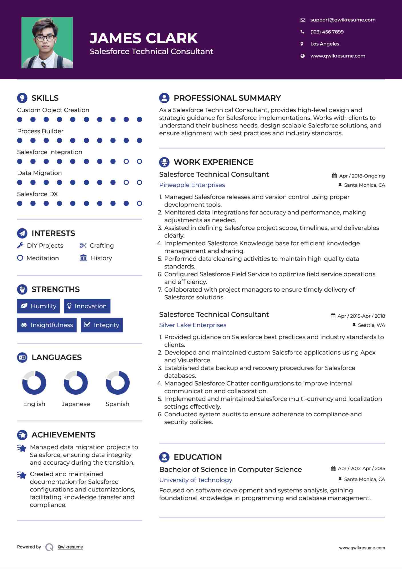 Salesforce Technical Consultant Resume Example