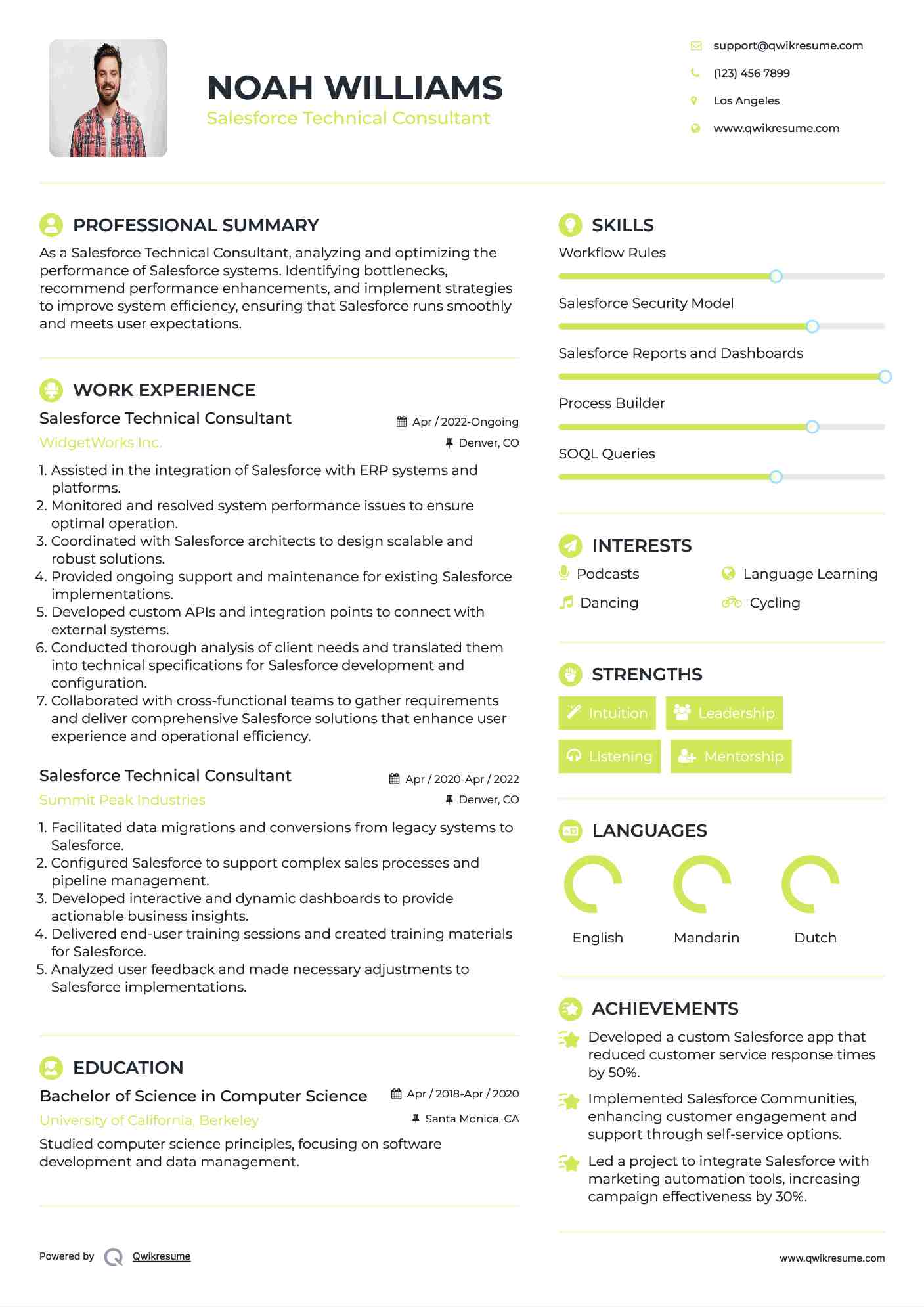 Salesforce Technical Consultant Resume Sample