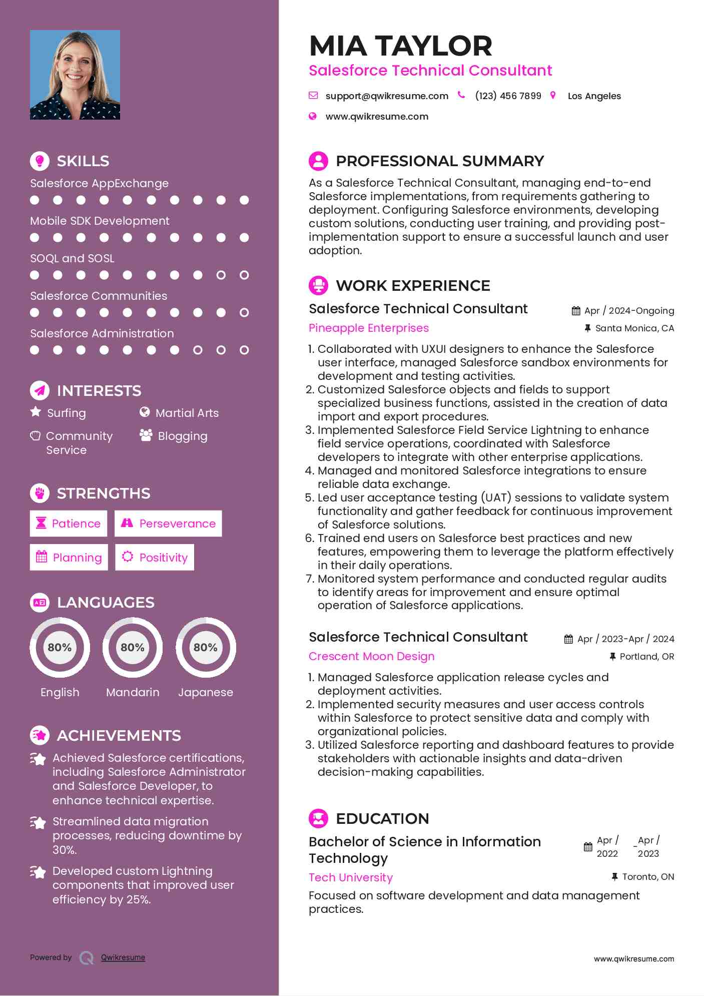 Salesforce Technical Consultant Resume Sample