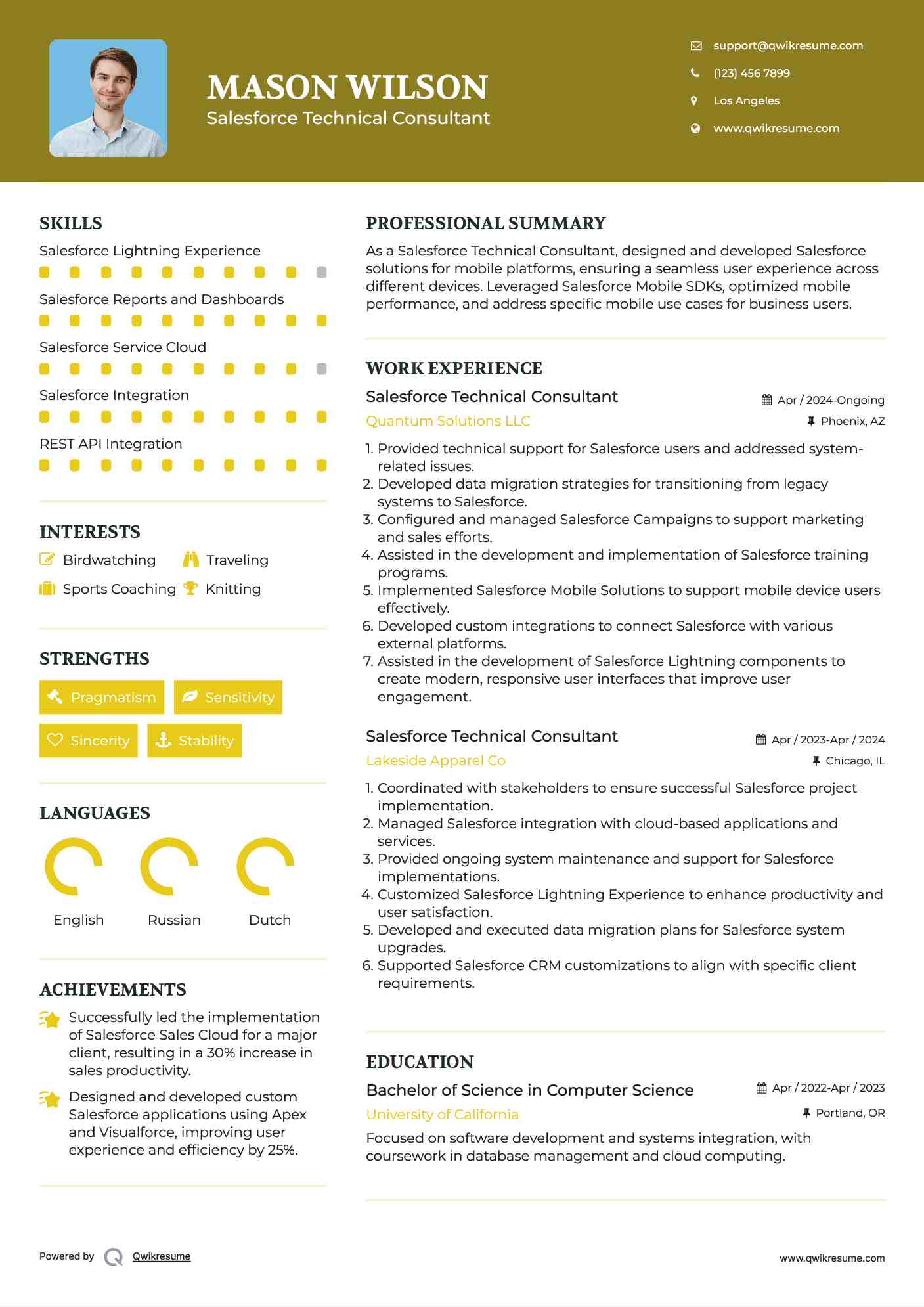 Salesforce Technical Consultant Resume Model