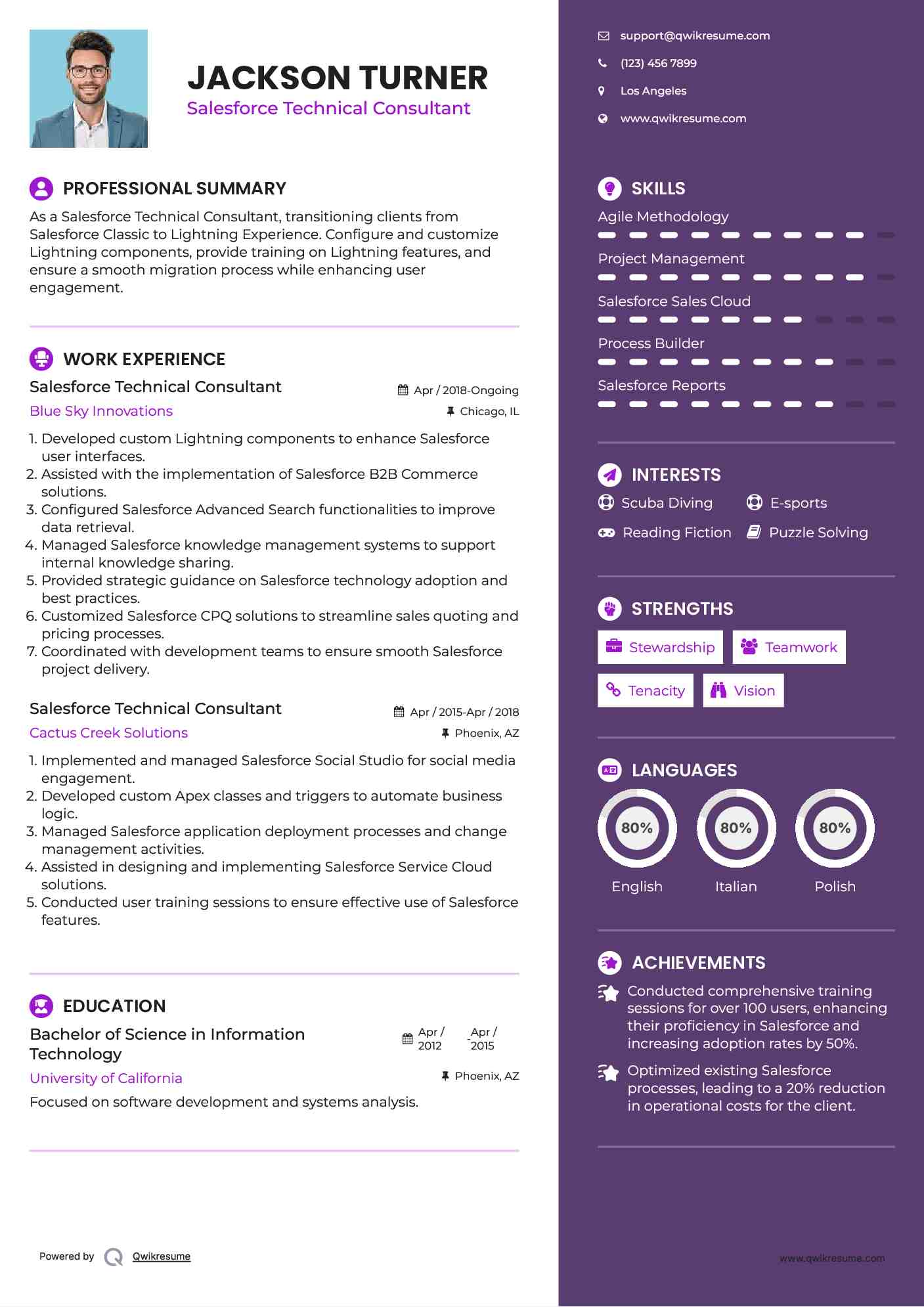 Salesforce Technical Consultant Resume Example