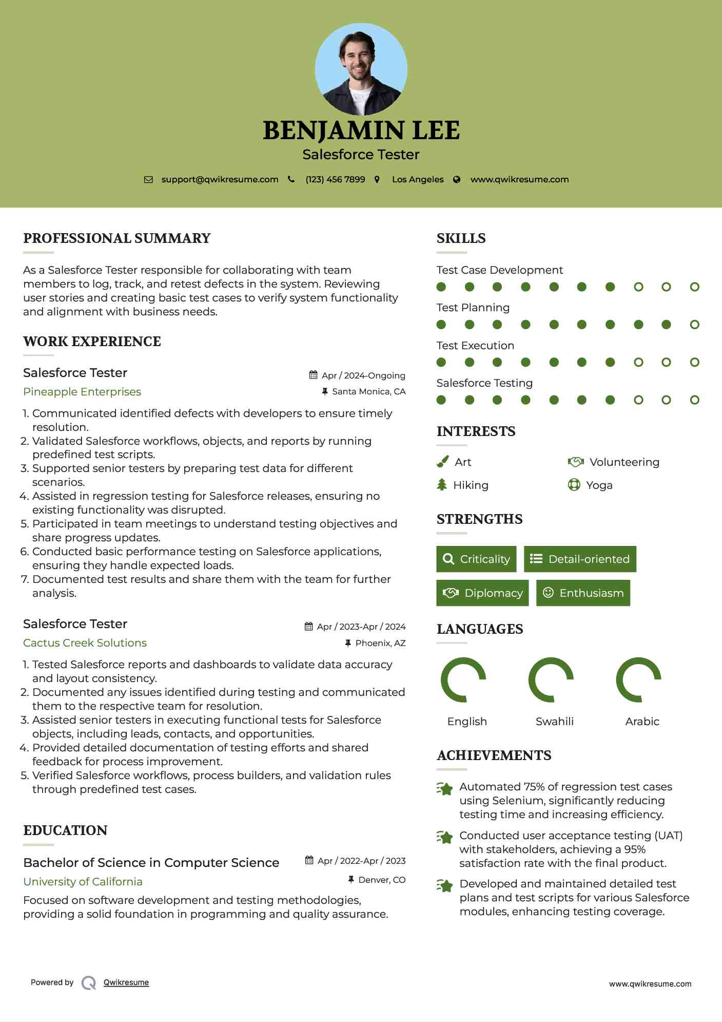 Salesforce Tester Resume Example