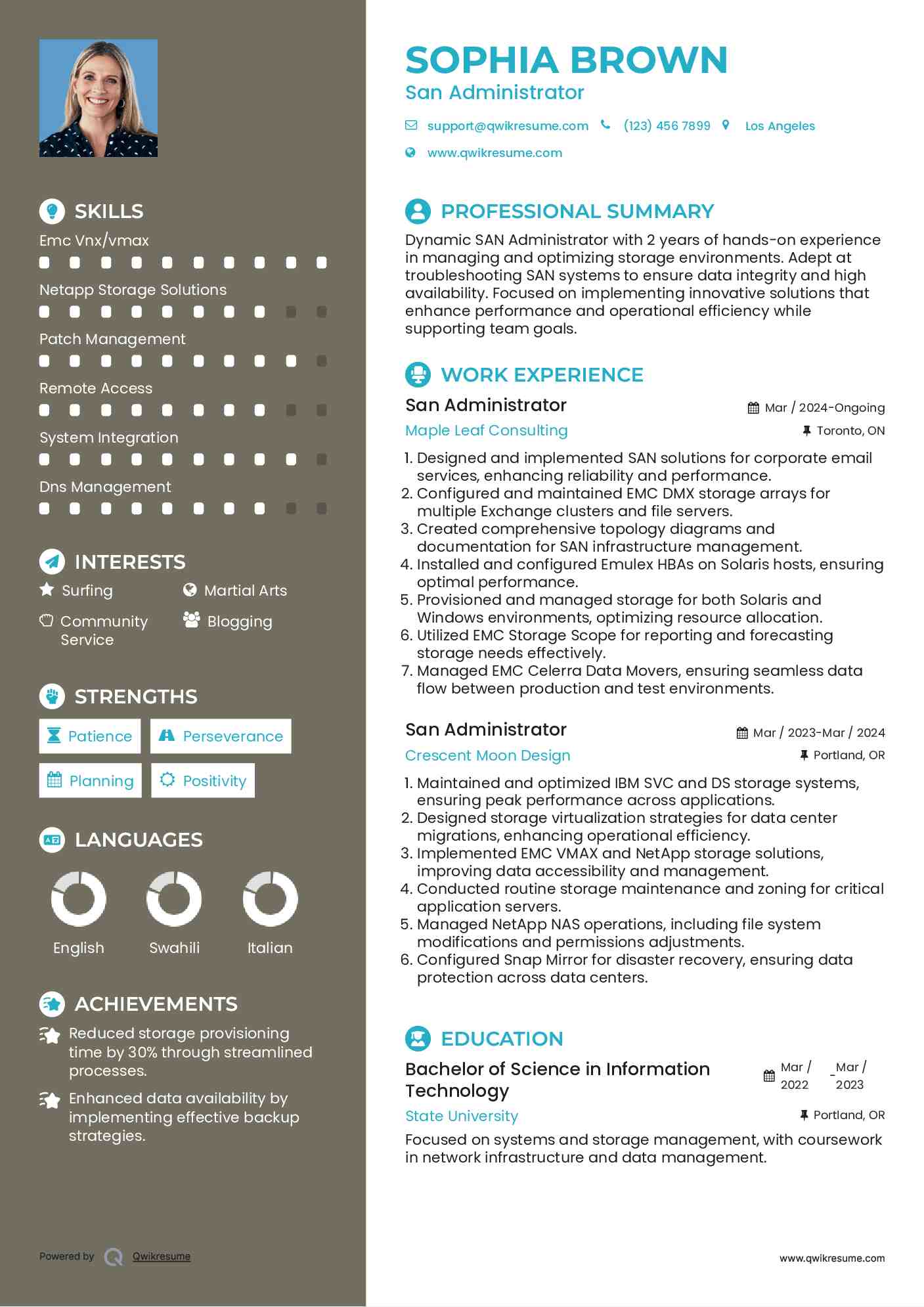 San Administrator Resume Template