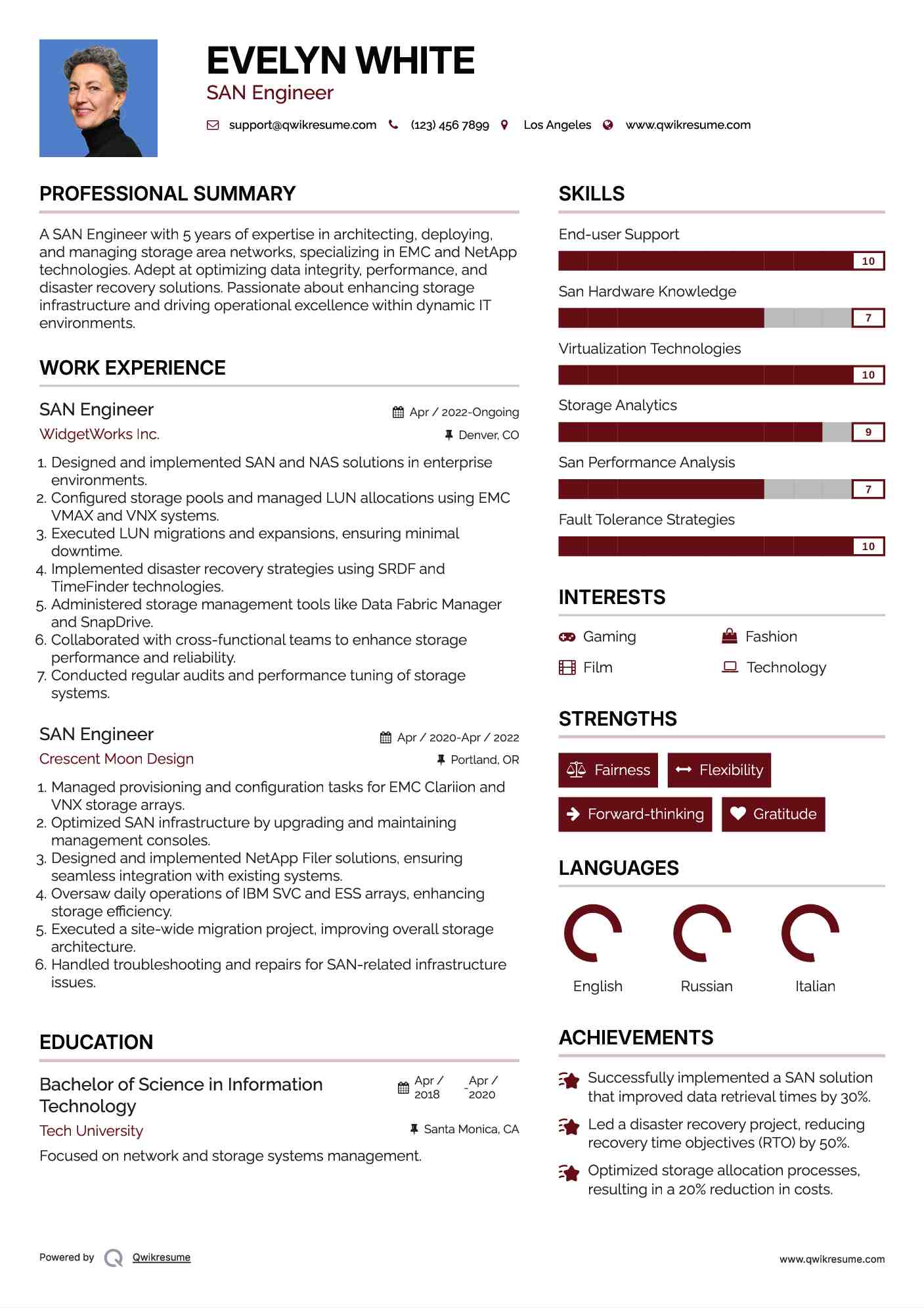 SAN Engineer Resume Model