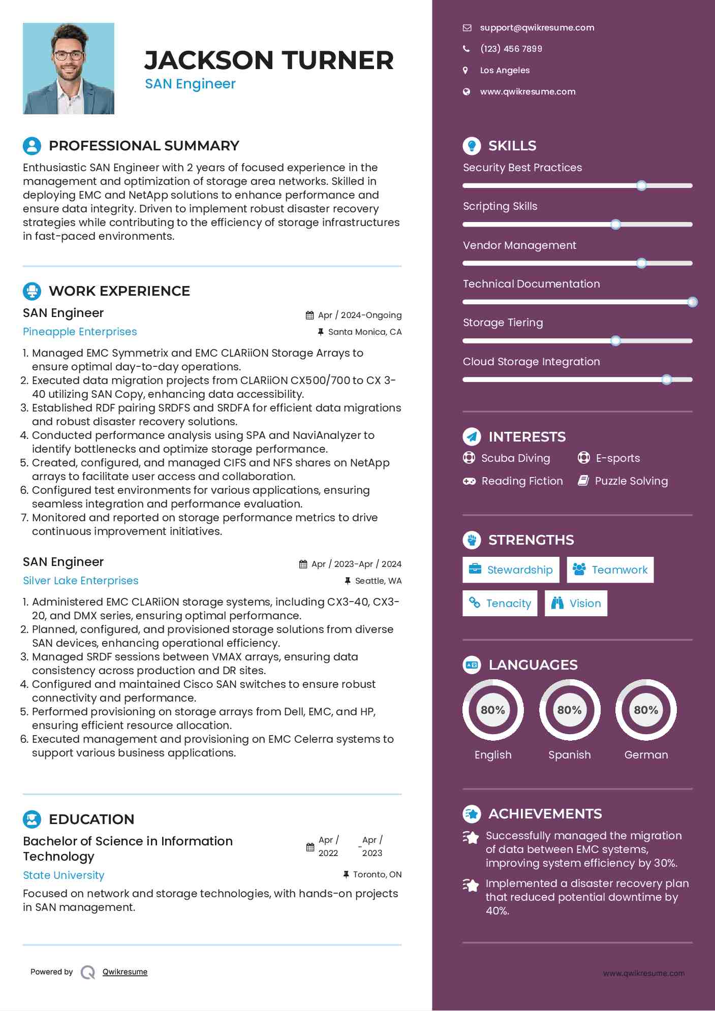 SAN Engineer Resume Sample