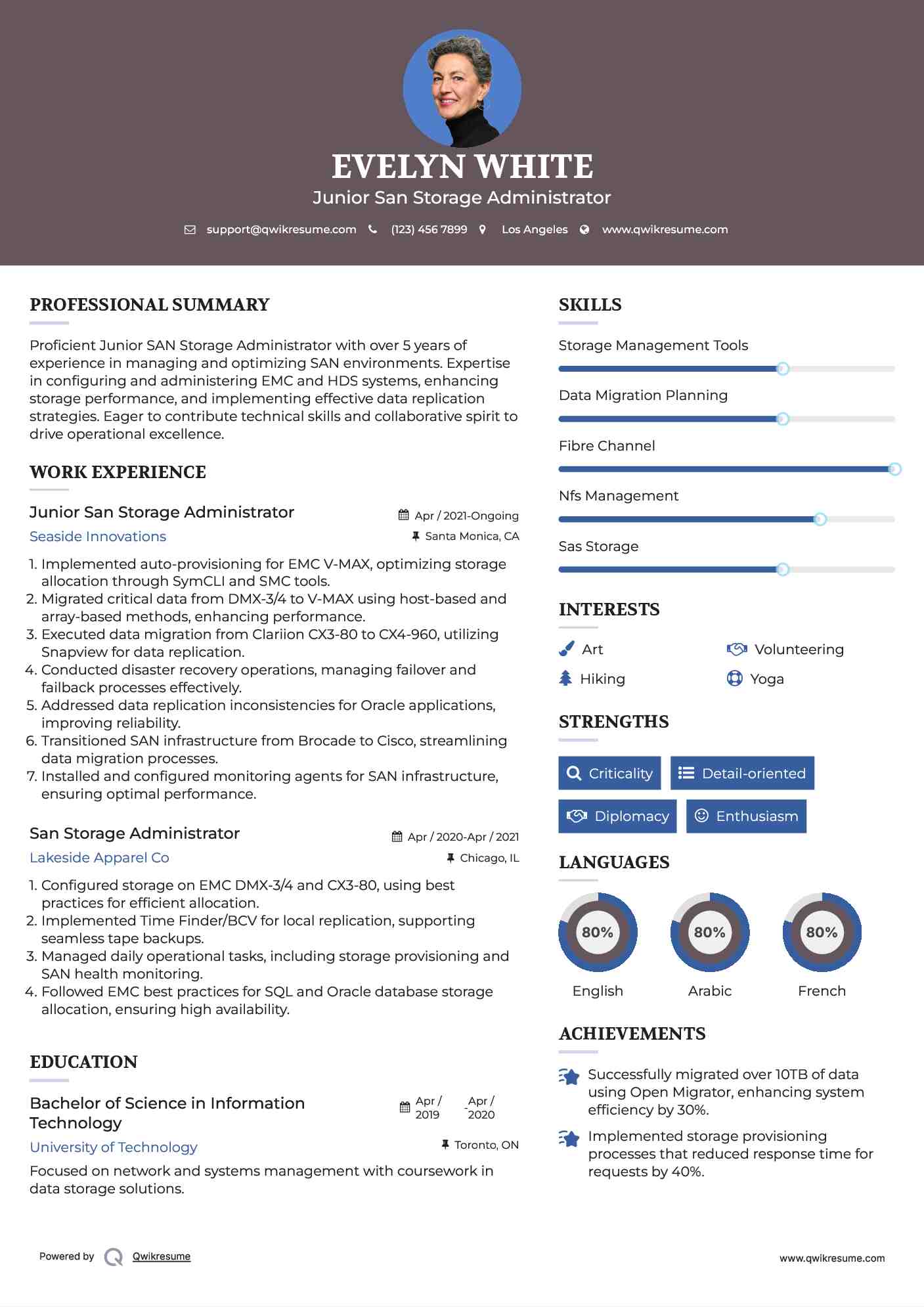 Junior San Storage Administrator Resume Template