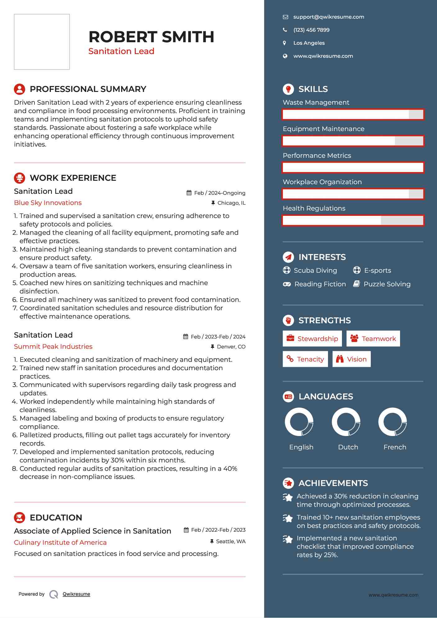 Sanitation Lead Resume Model