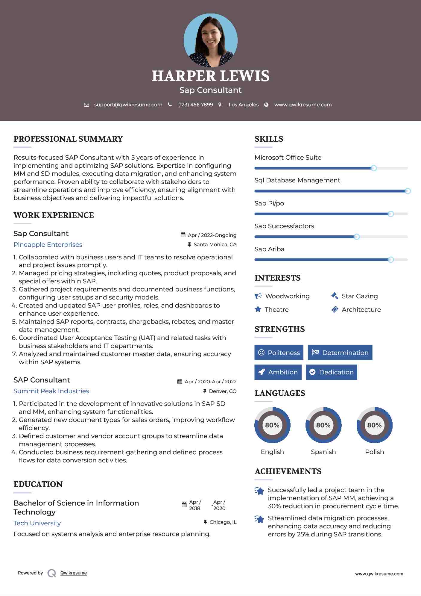Sap Consultant Resume Model