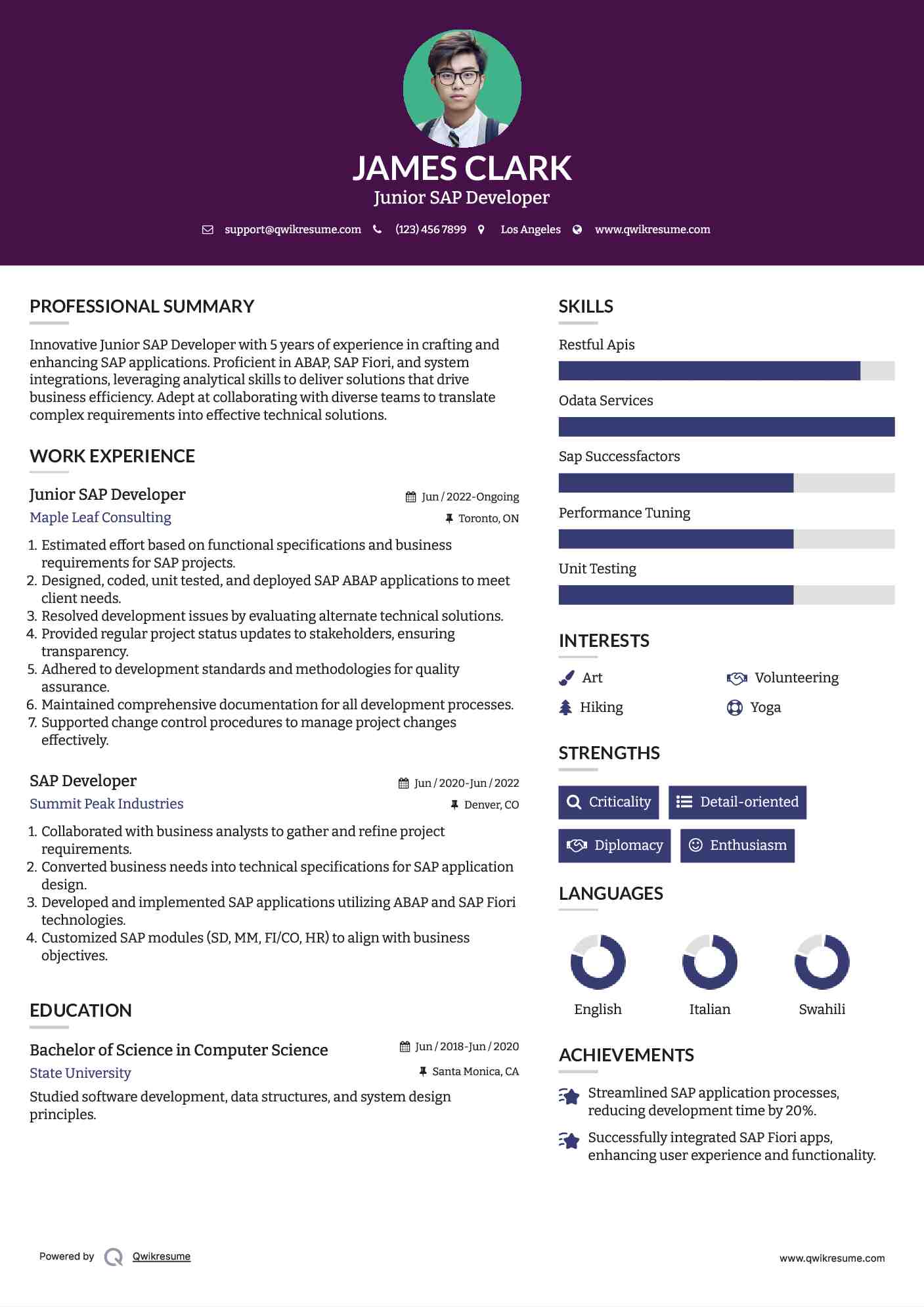 Junior SAP Developer Resume Sample