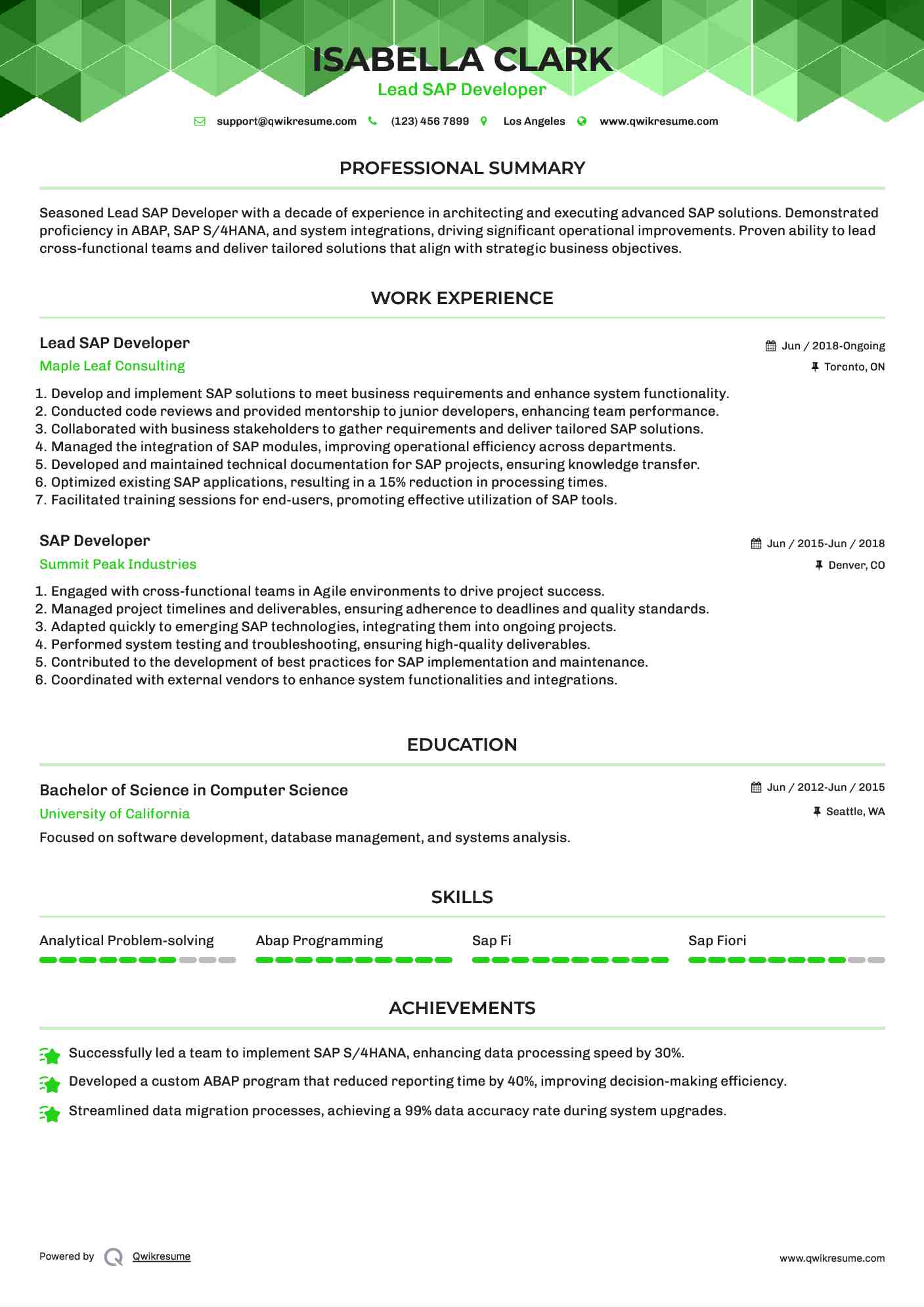 Lead SAP Developer Resume Format