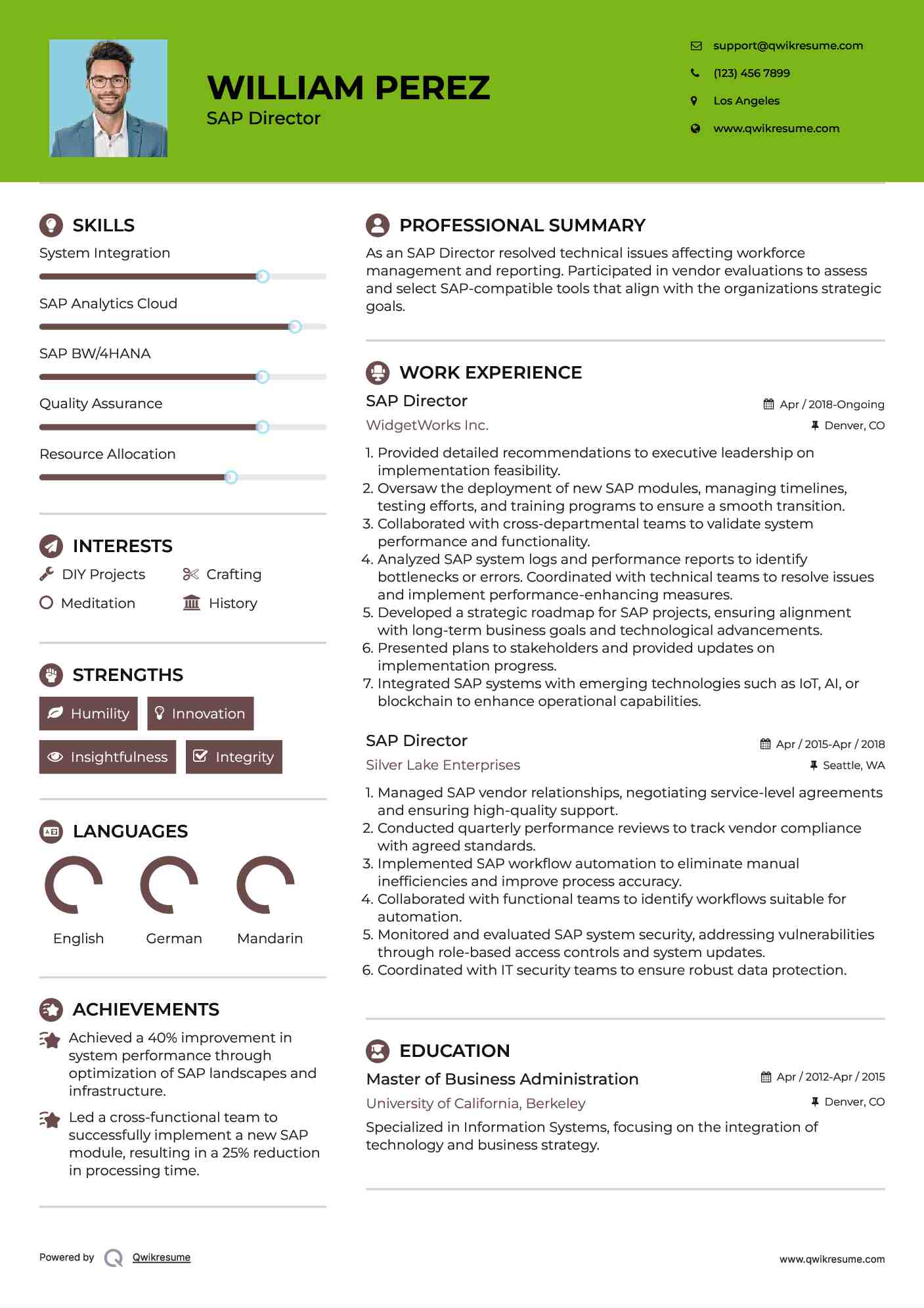 SAP Director Resume Example