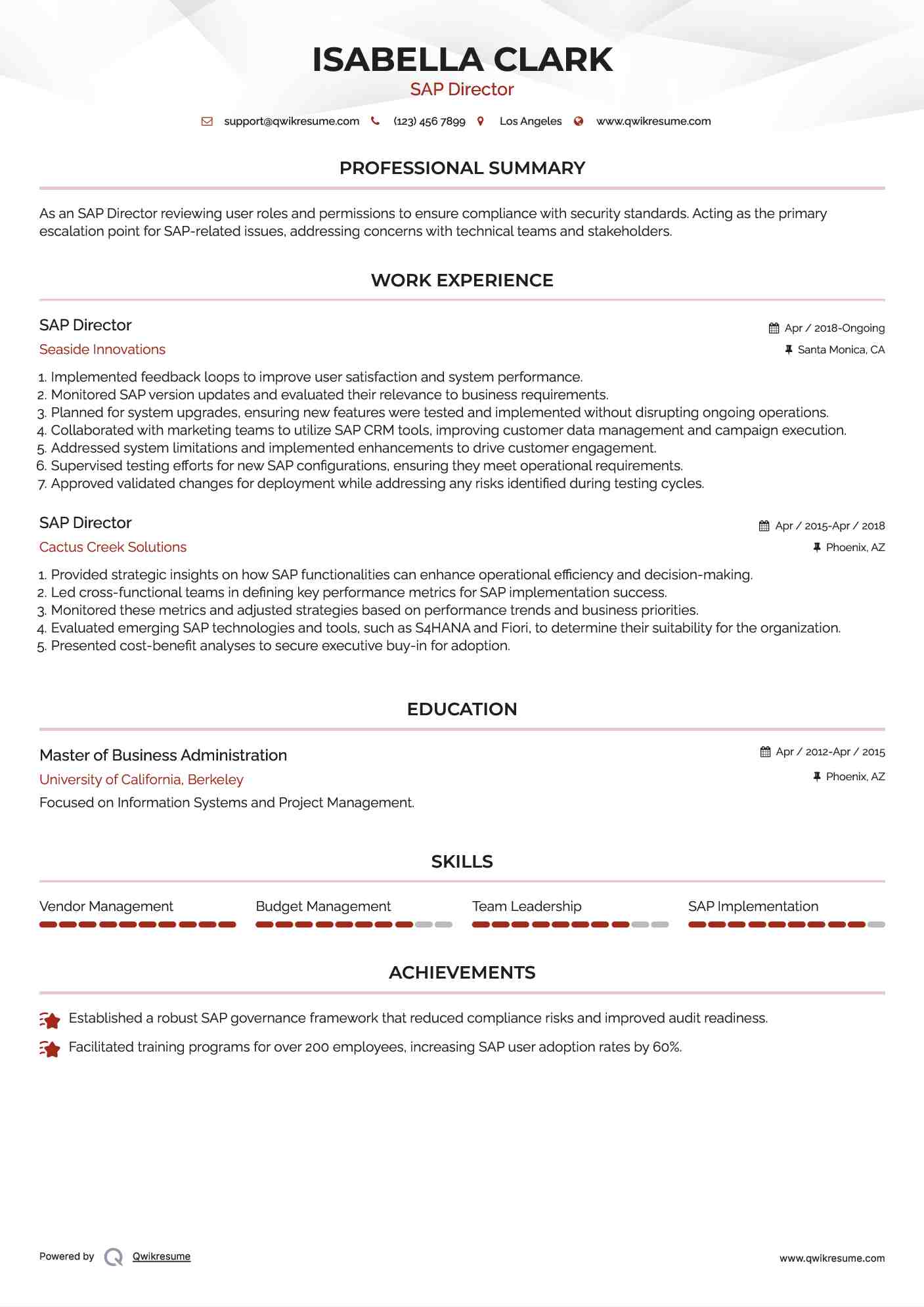 SAP Director Resume Sample