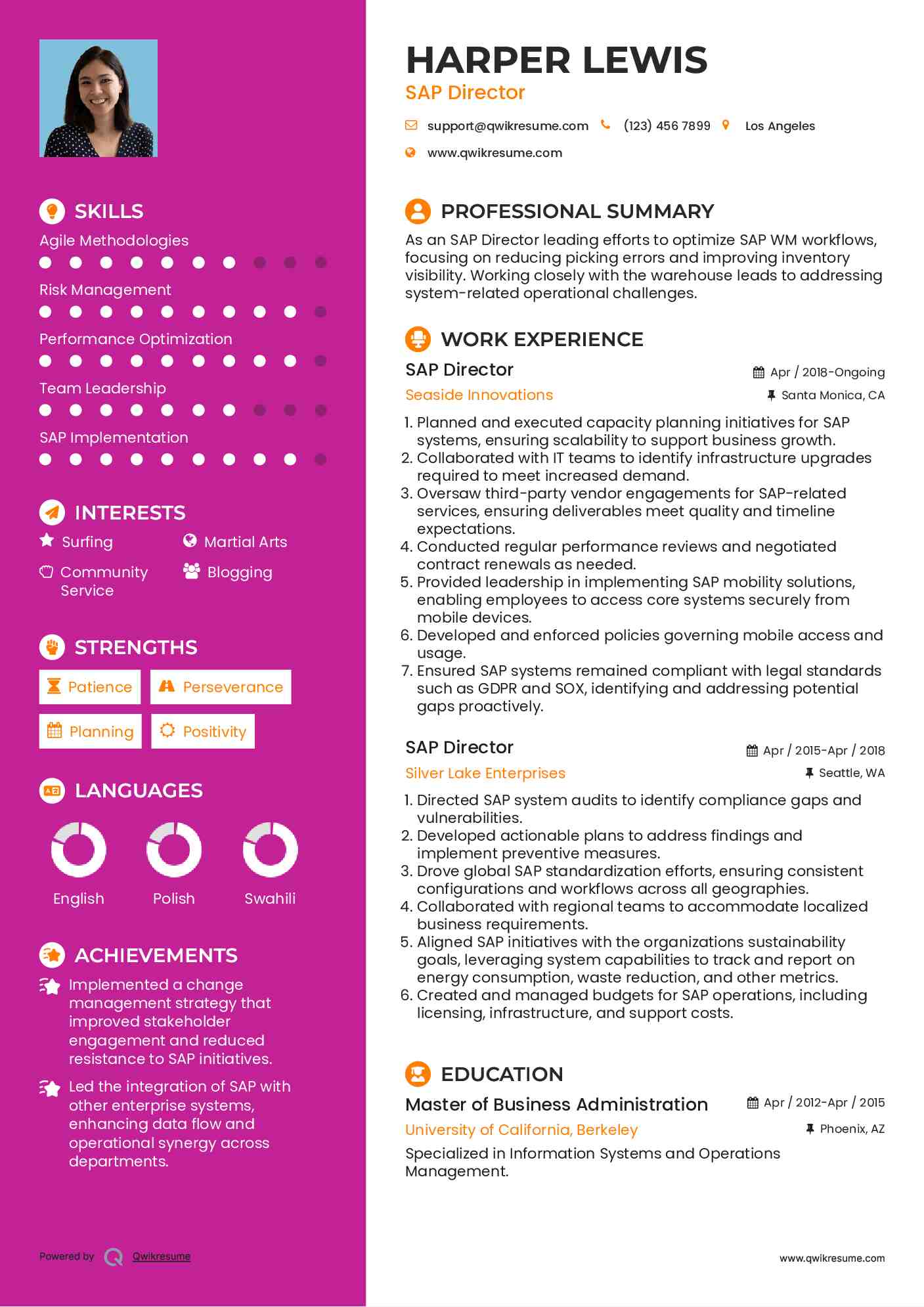 SAP Director Resume Example