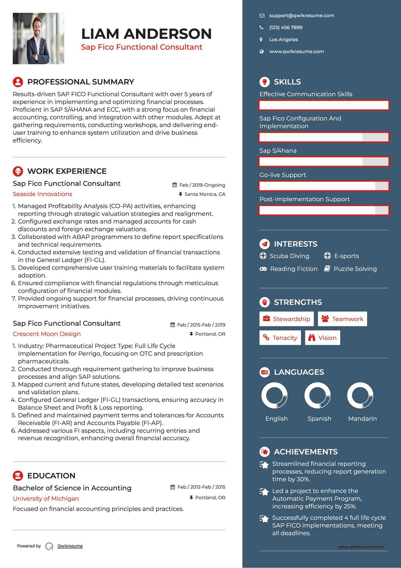 Sap Fico Functional Consultant Resume Example