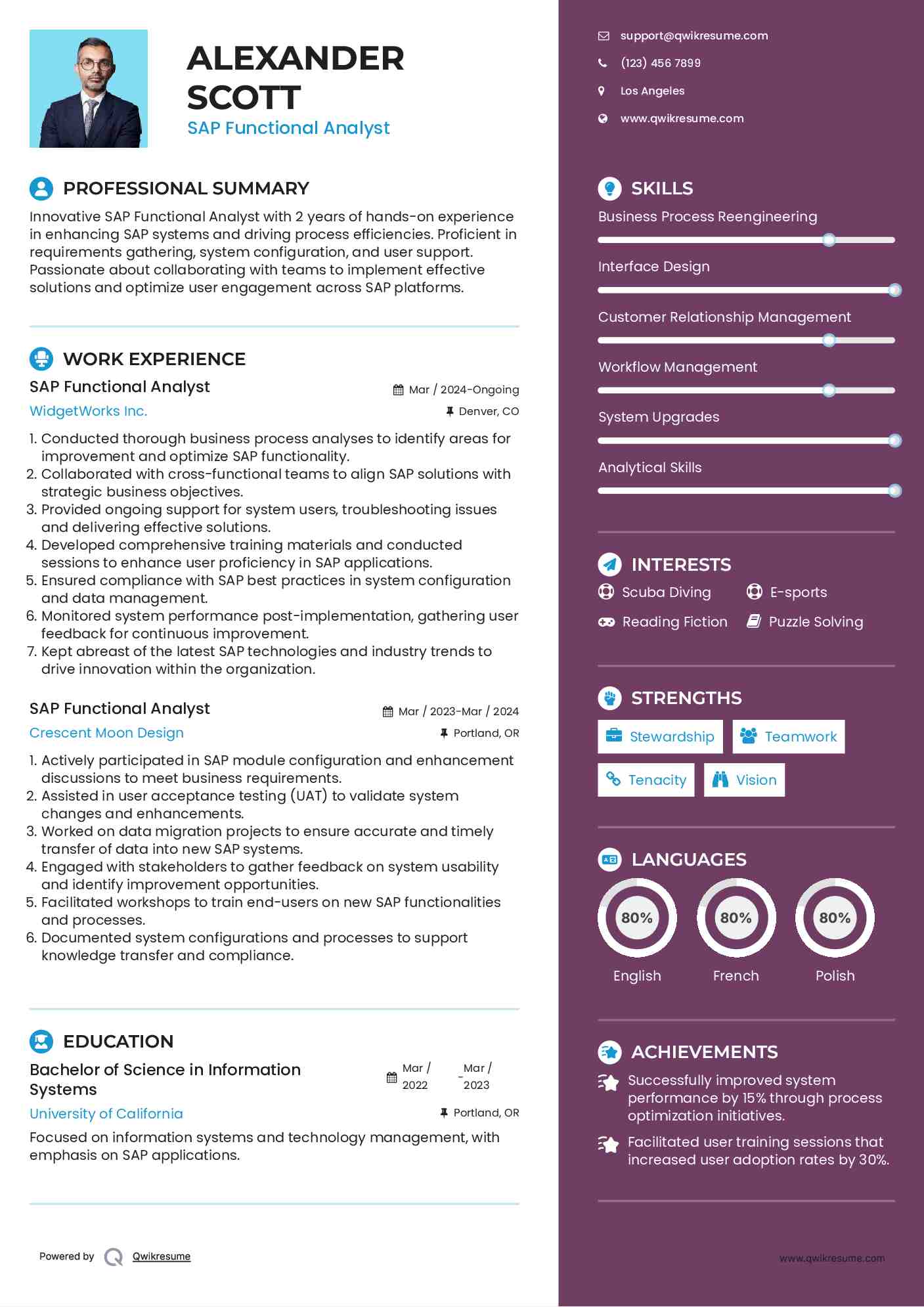 SAP Functional Analyst Resume Model