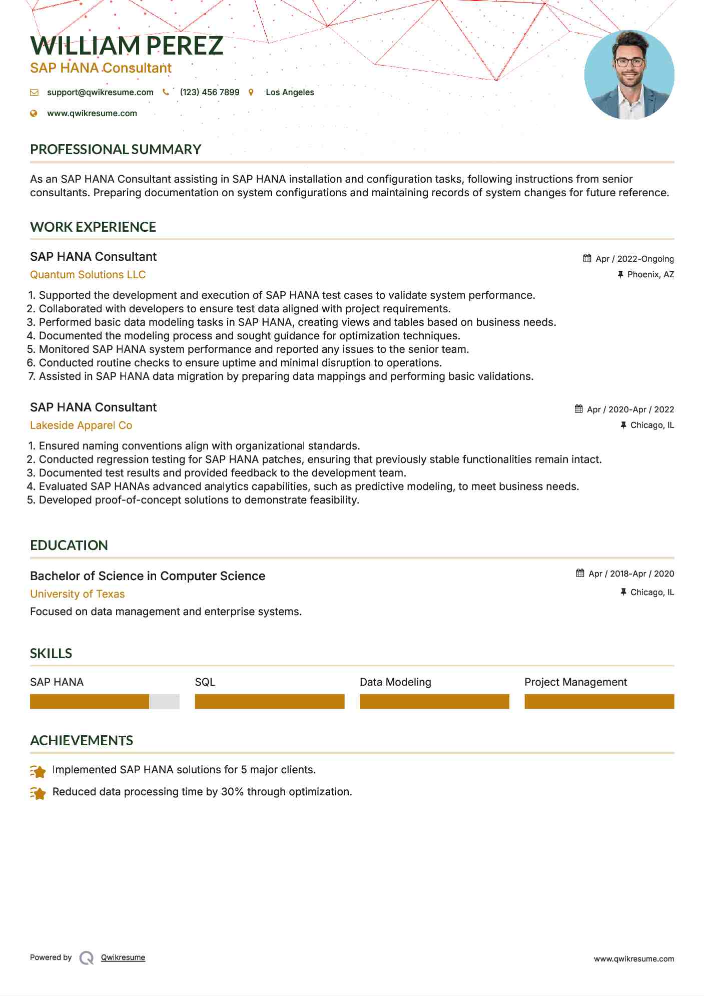 SAP HANA Consultant Resume Sample