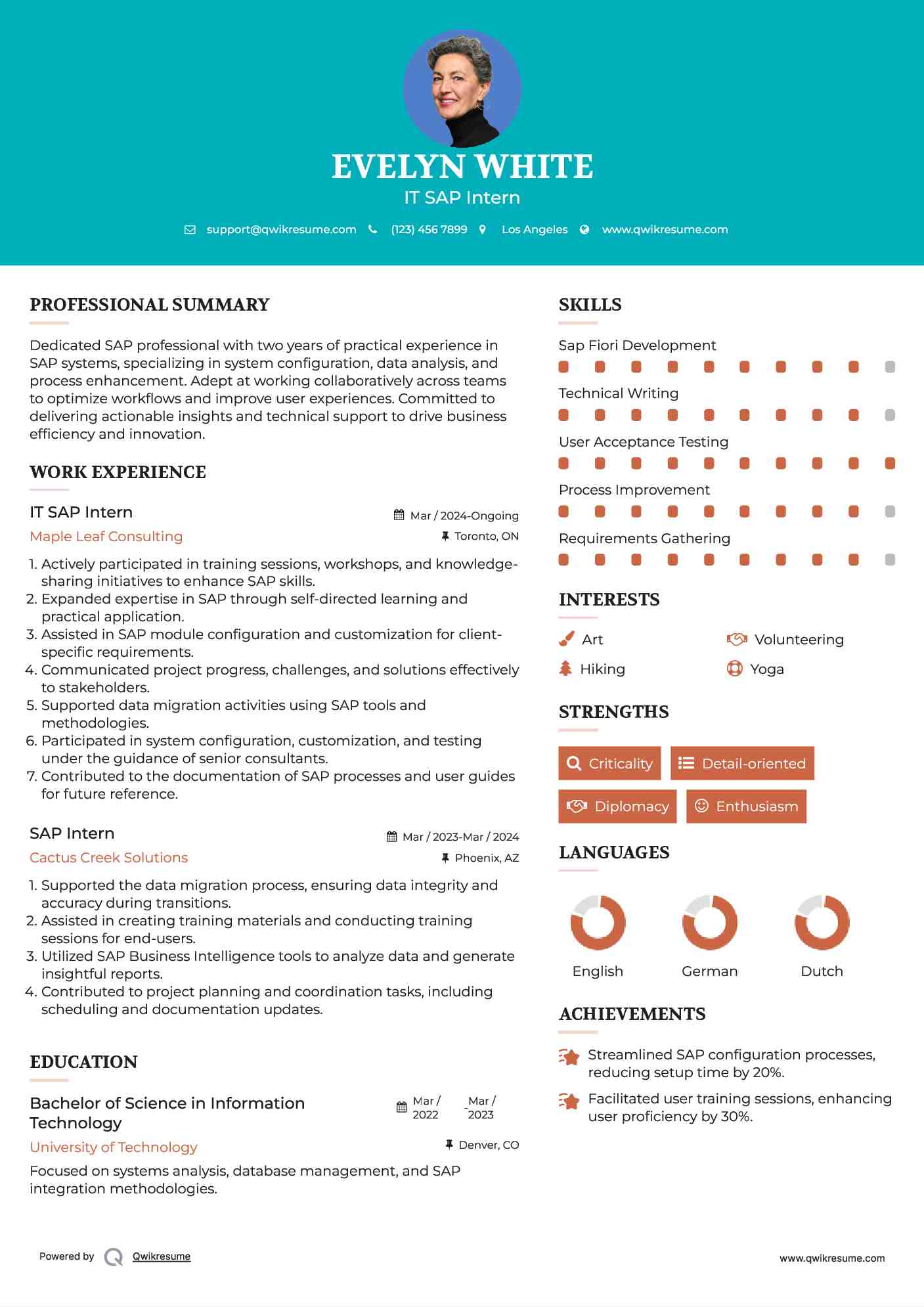 IT SAP Intern
 Resume Example