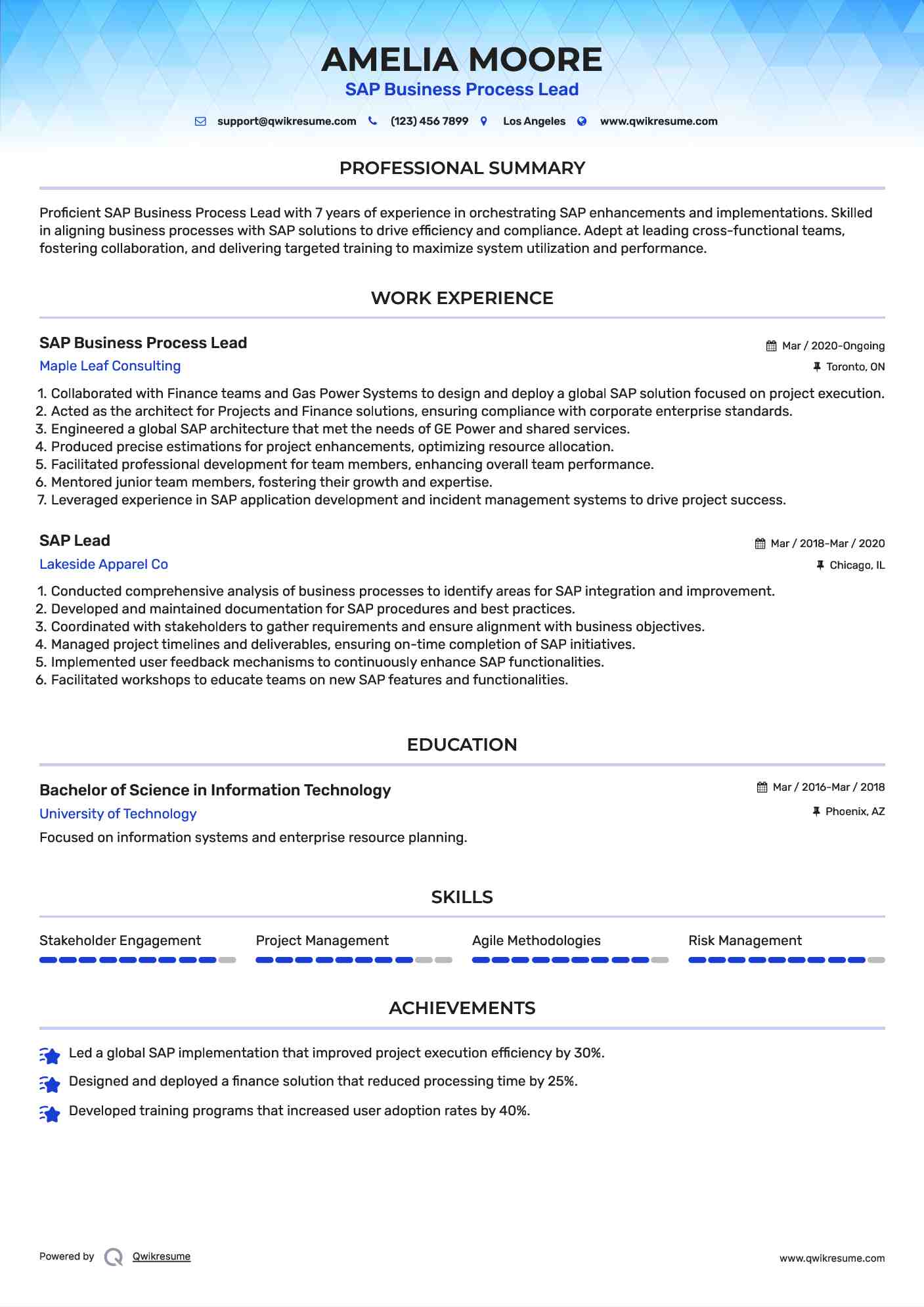 SAP Business Process Lead Resume Template