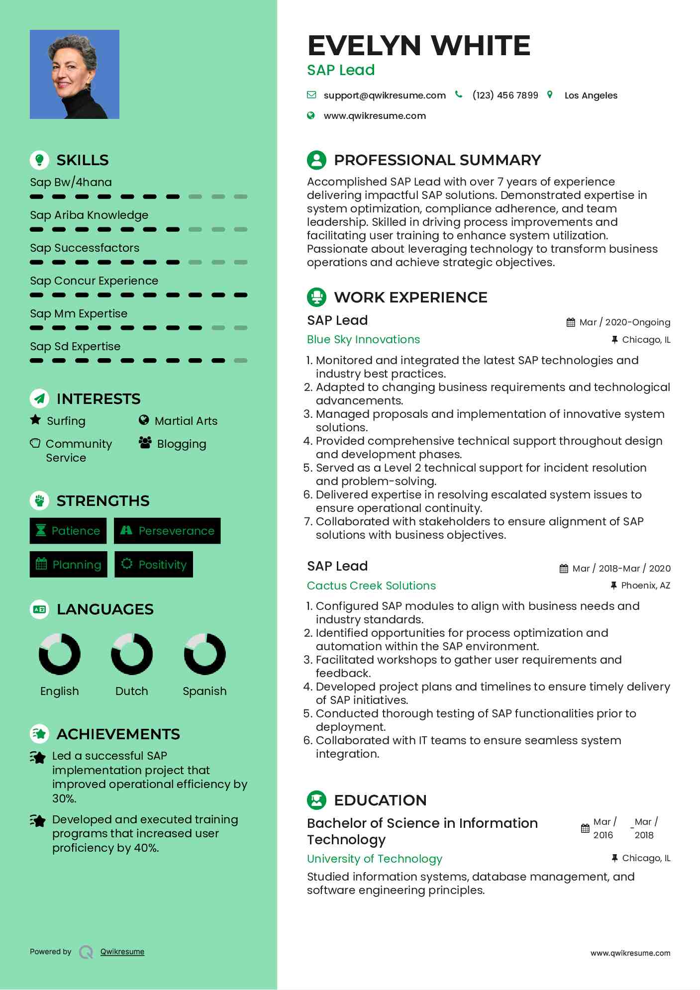 SAP Lead Resume Model