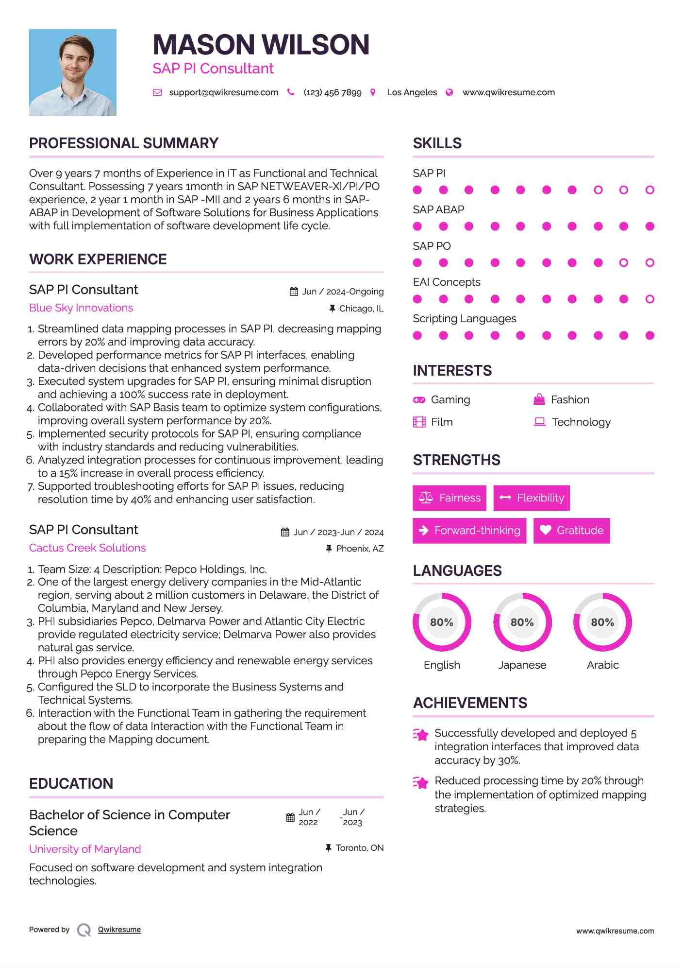 SAP PI Consultant Resume Model