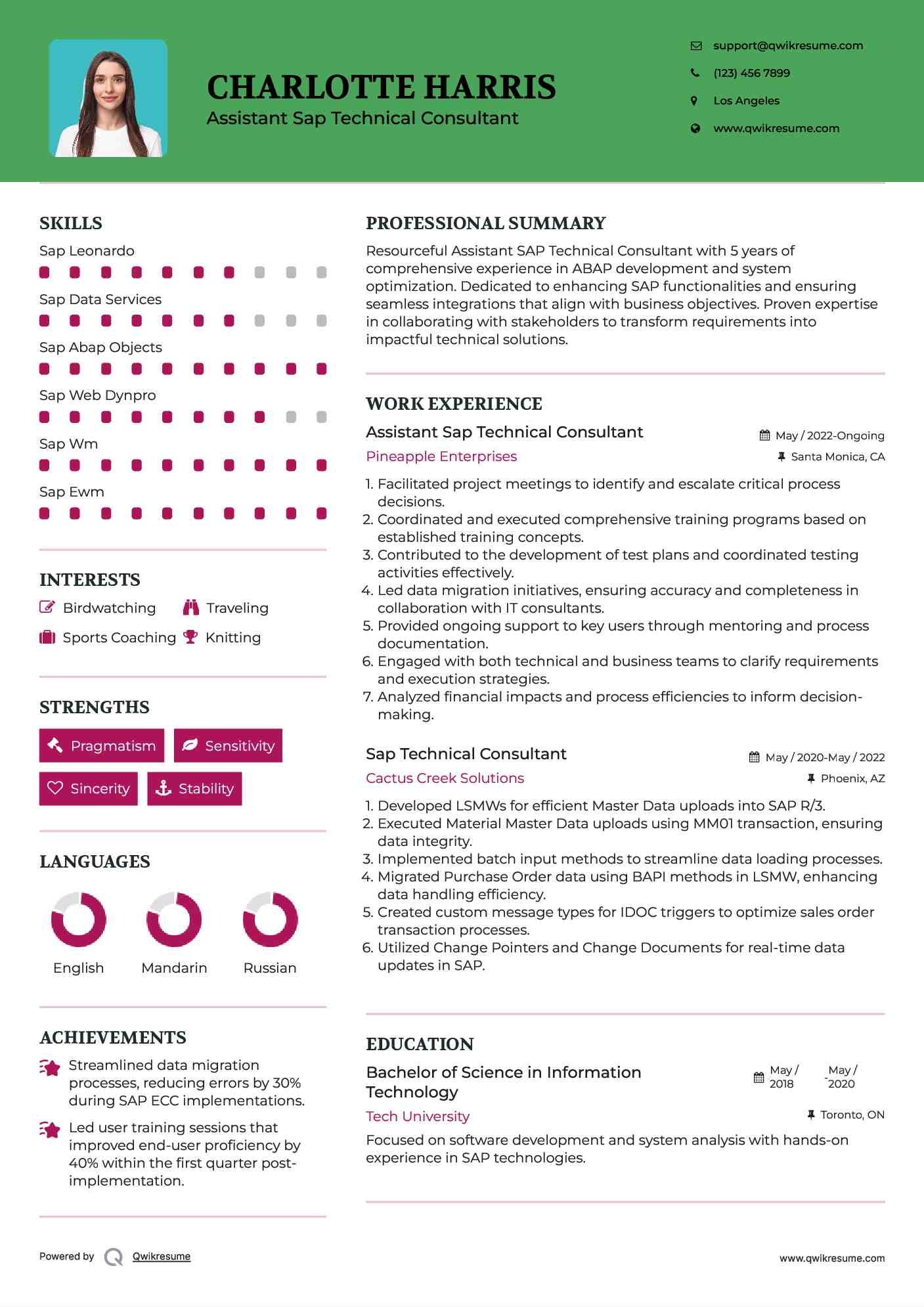 Assistant Sap Technical Consultant Resume Format
