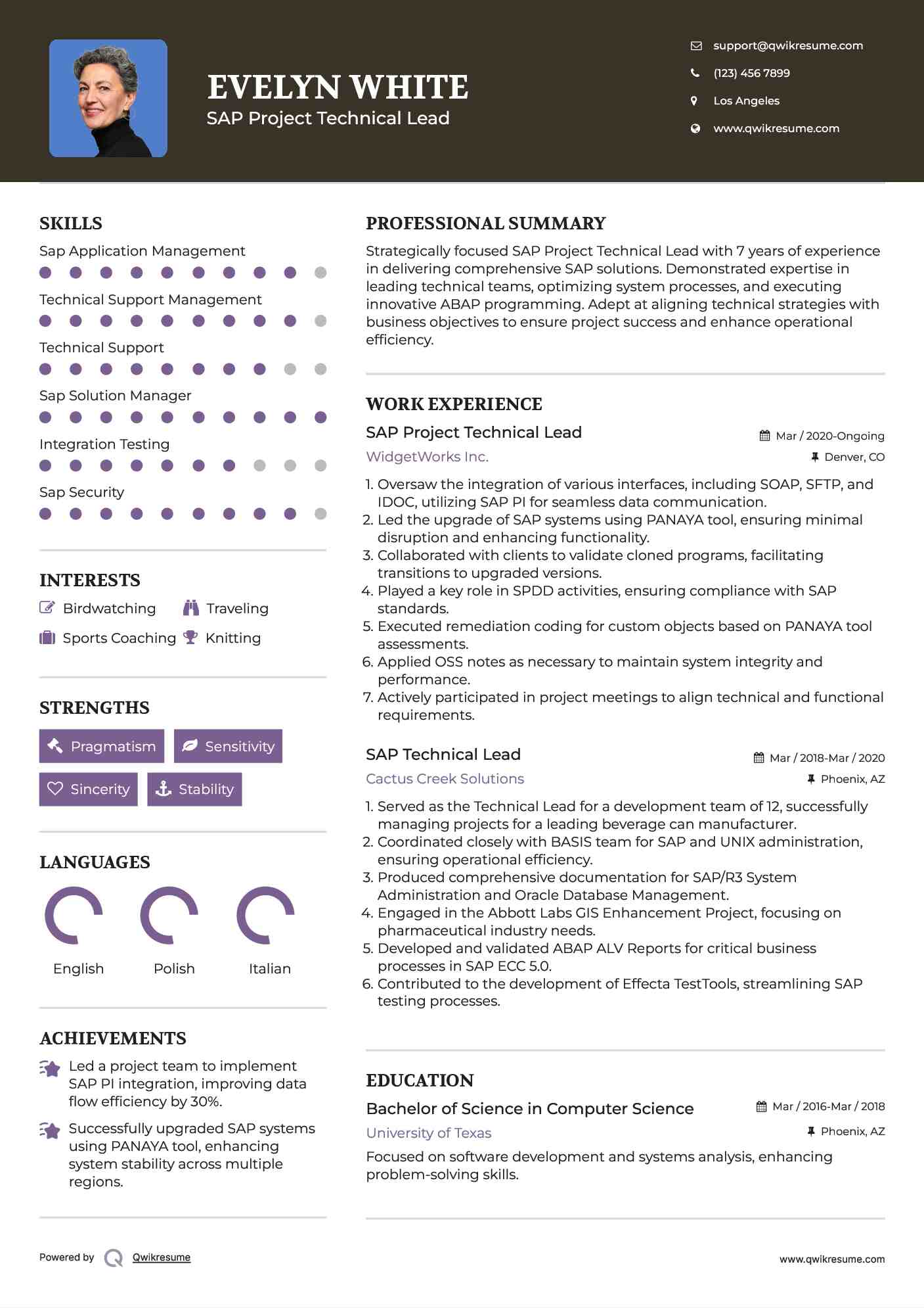 SAP Project Technical Lead
 Resume Sample