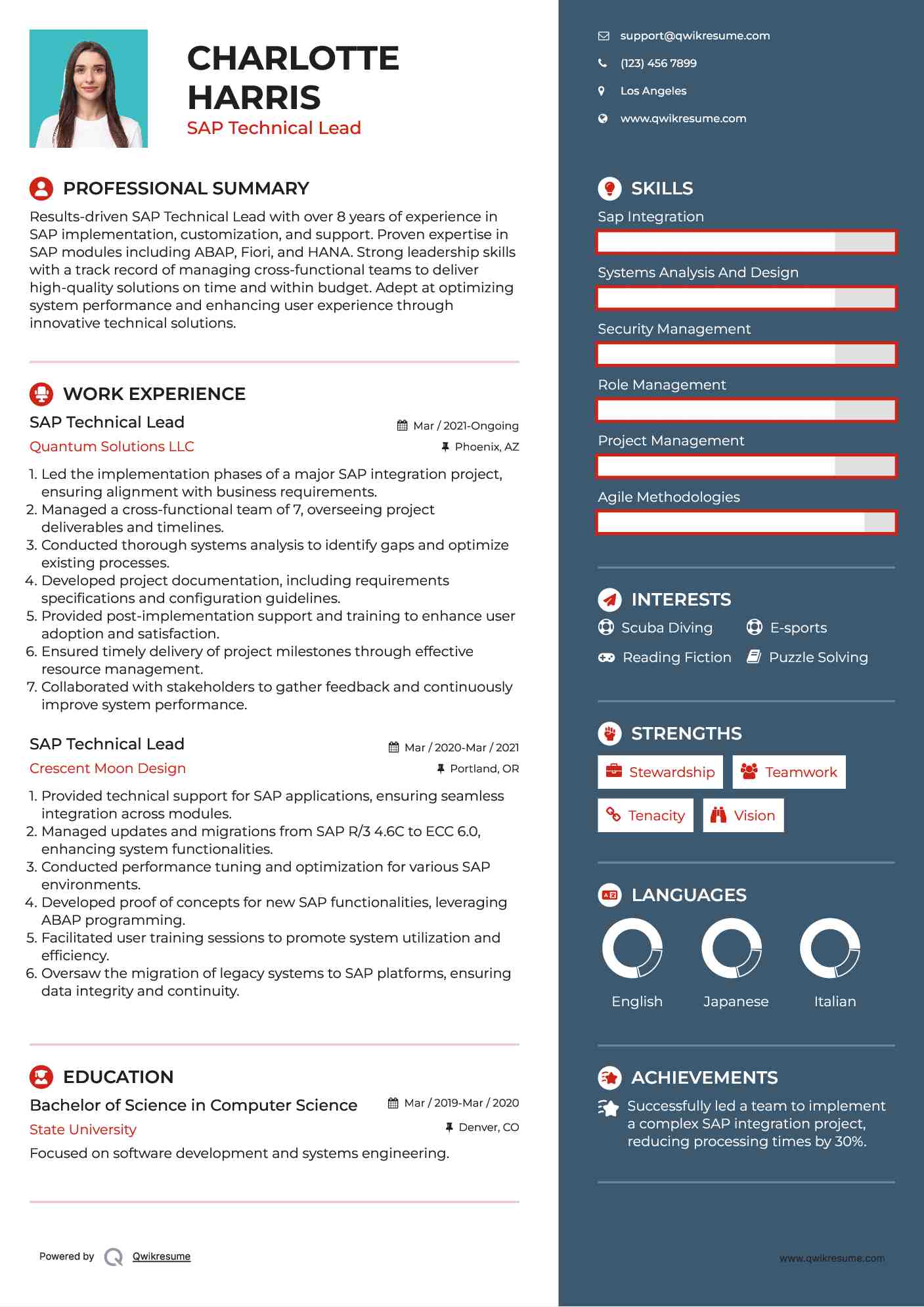SAP Technical Lead Resume Format