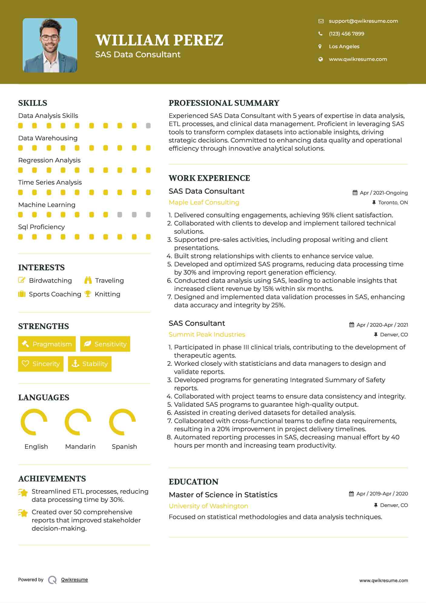 SAS Data Consultant Resume Model