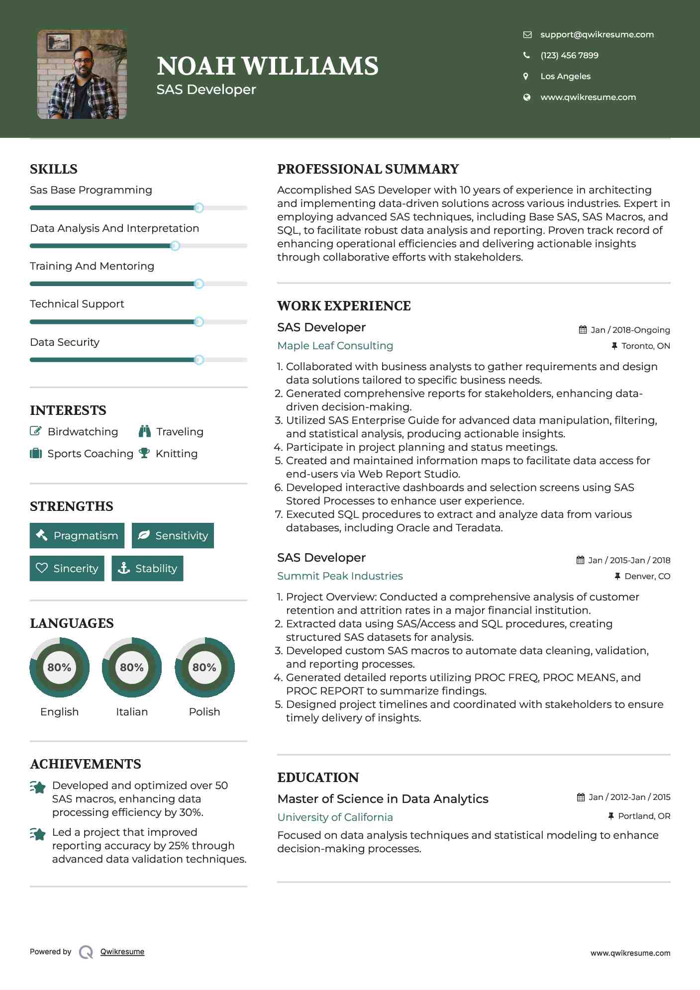 SAS Developer Resume Model