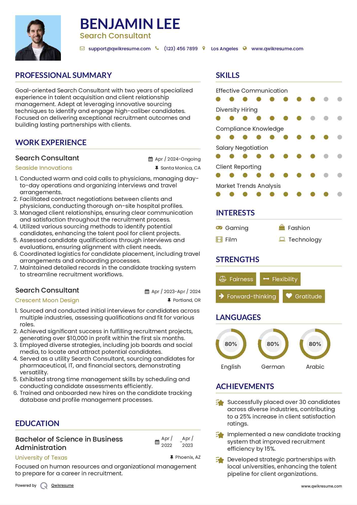 Search Consultant Resume Sample