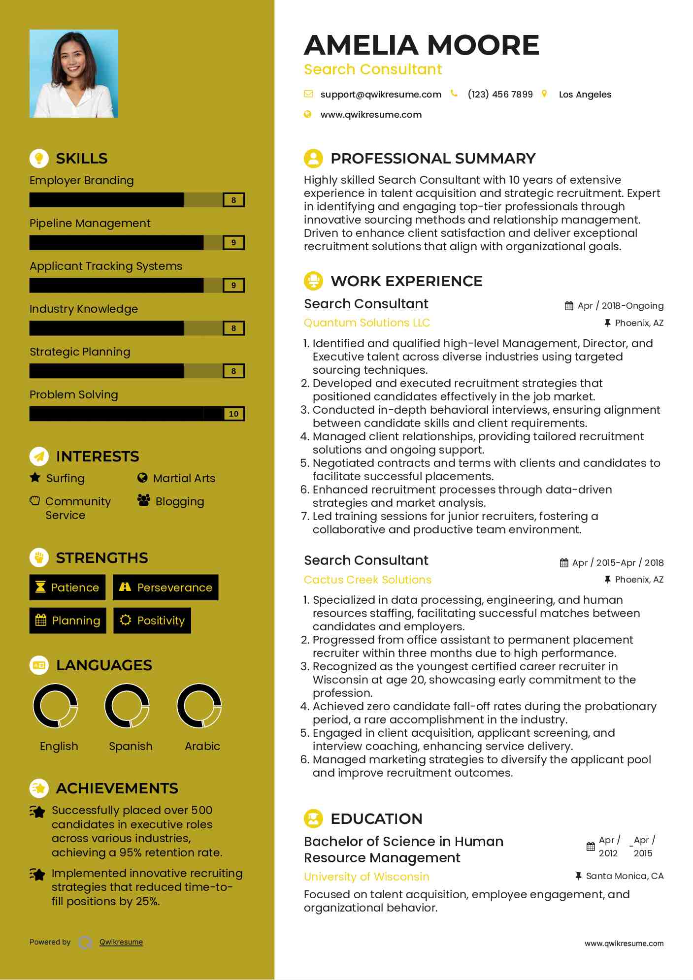 Search Consultant Resume Template