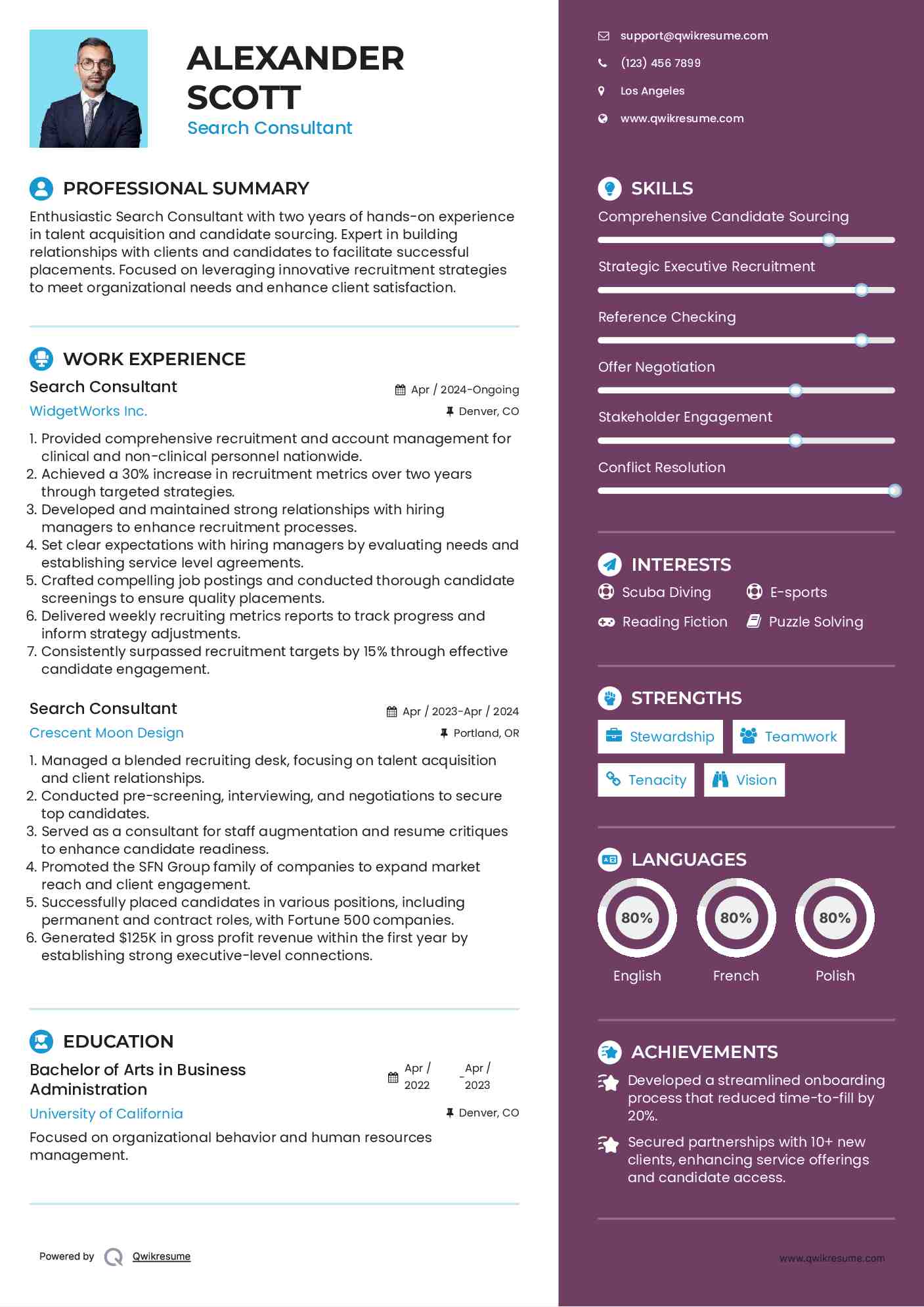 Search Consultant Resume Sample