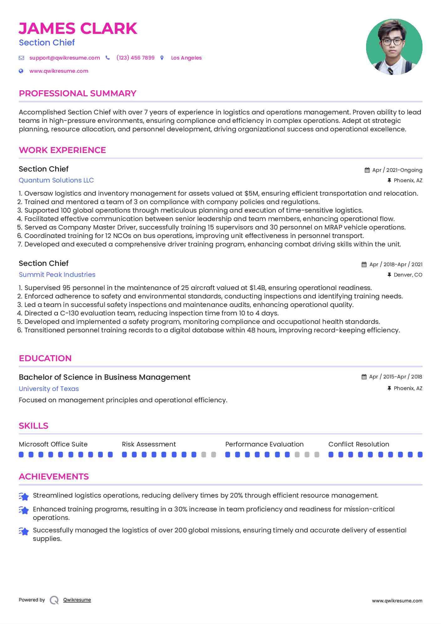 Section Chief Resume Model