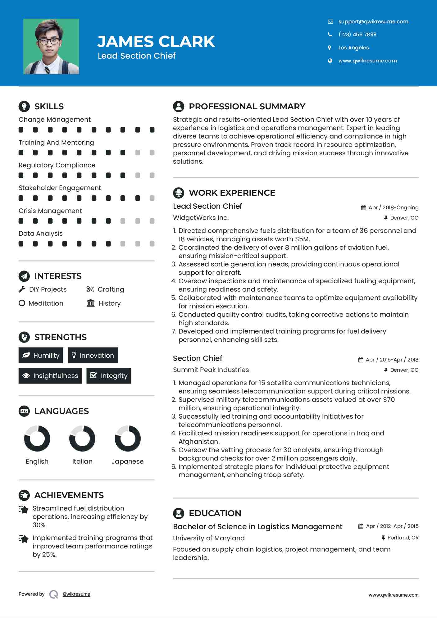 Lead Section Chief Resume Sample