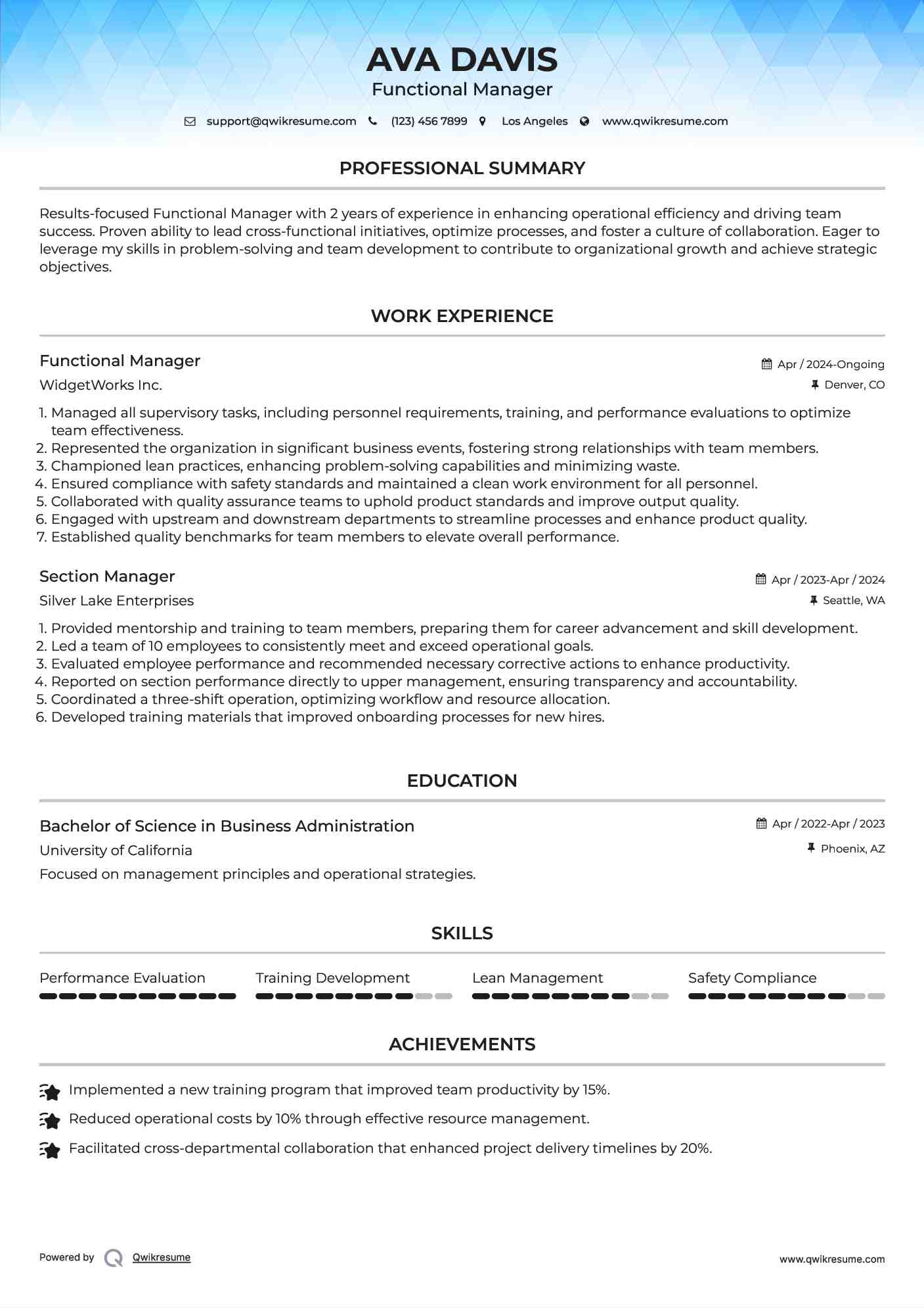 Functional Manager Resume Template