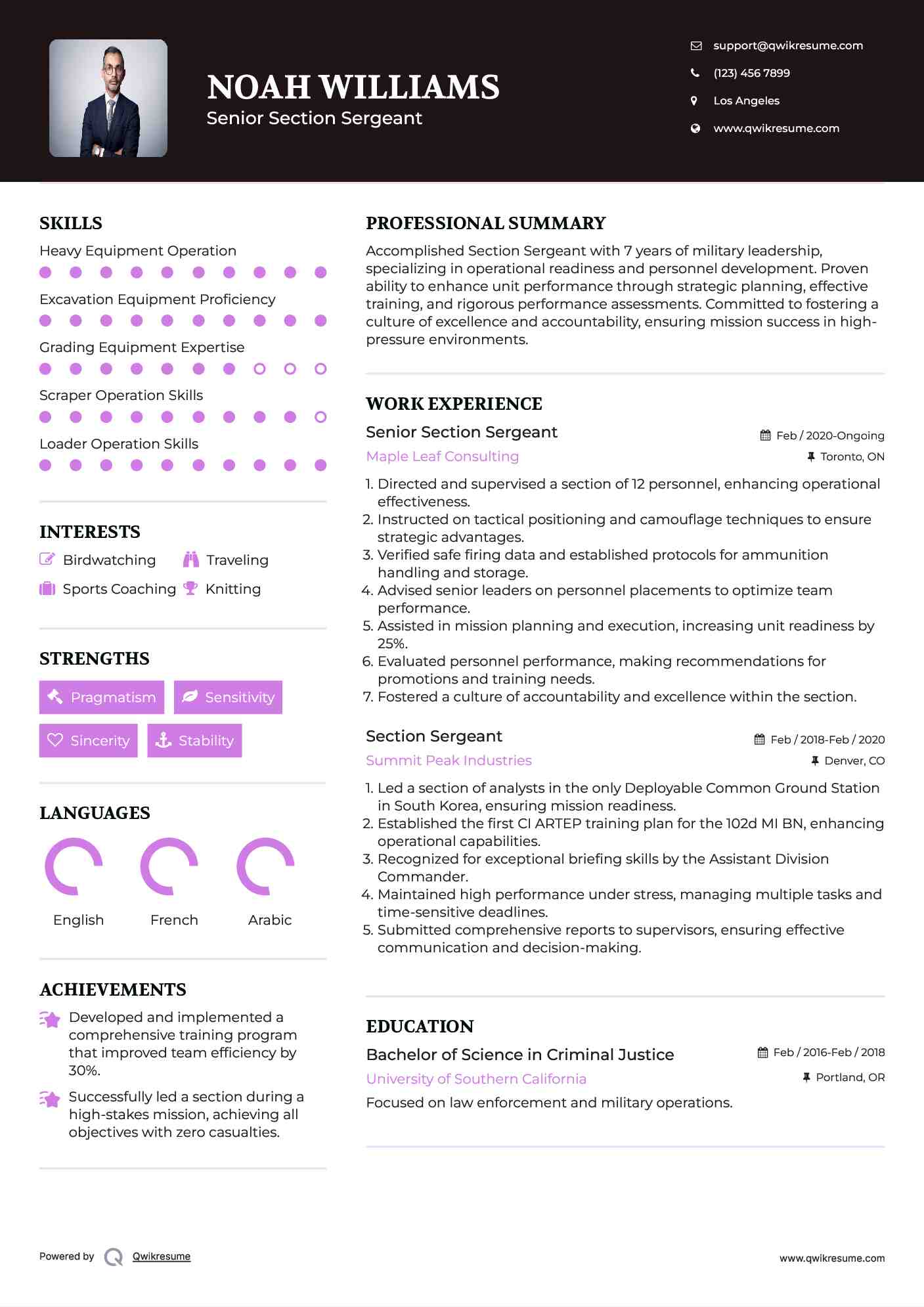 Senior Section Sergeant Resume Model