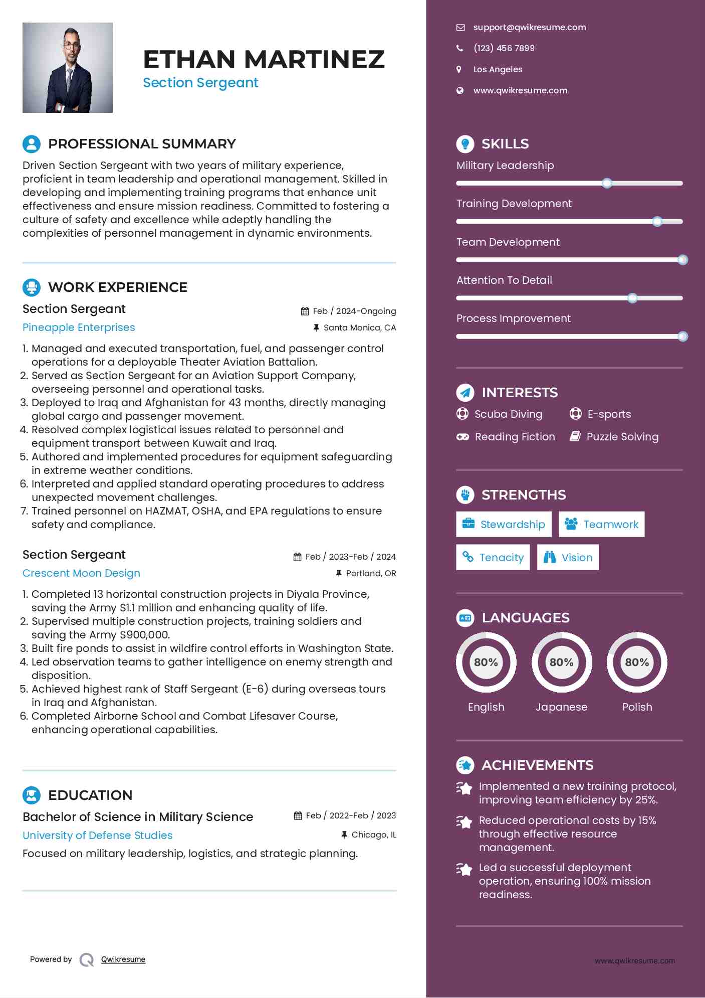 Section Sergeant Resume Example