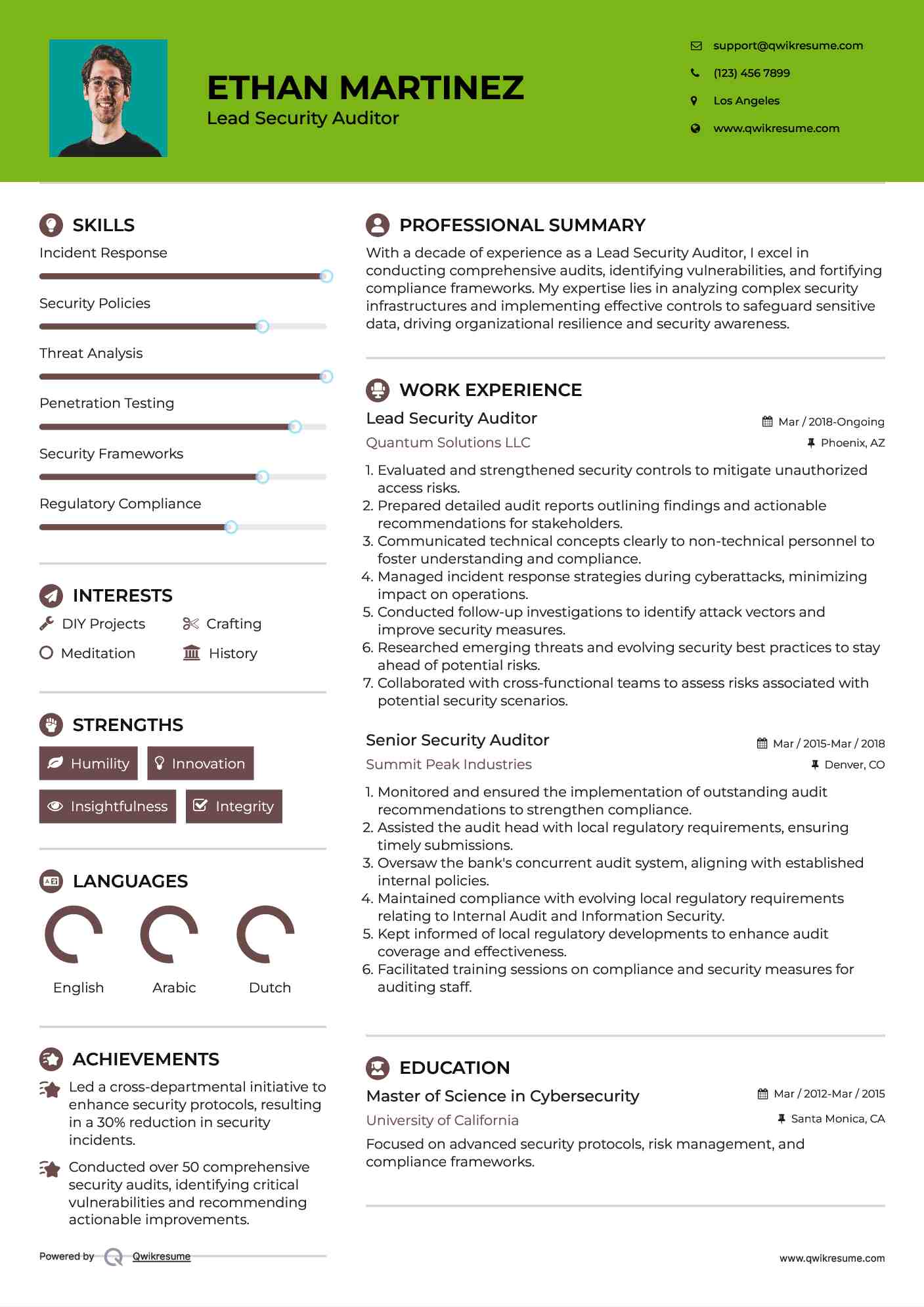 Lead Security Auditor Resume Example