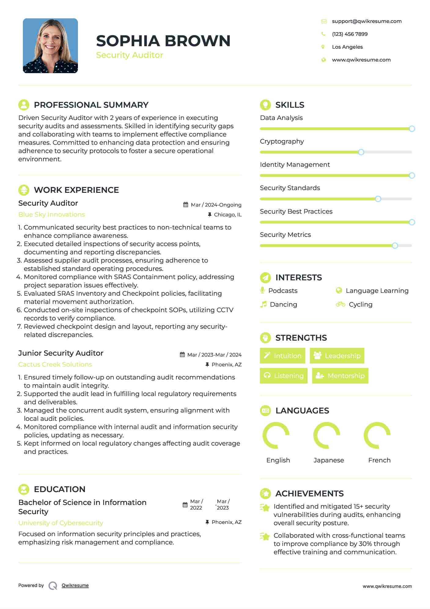 Security Auditor Resume Example