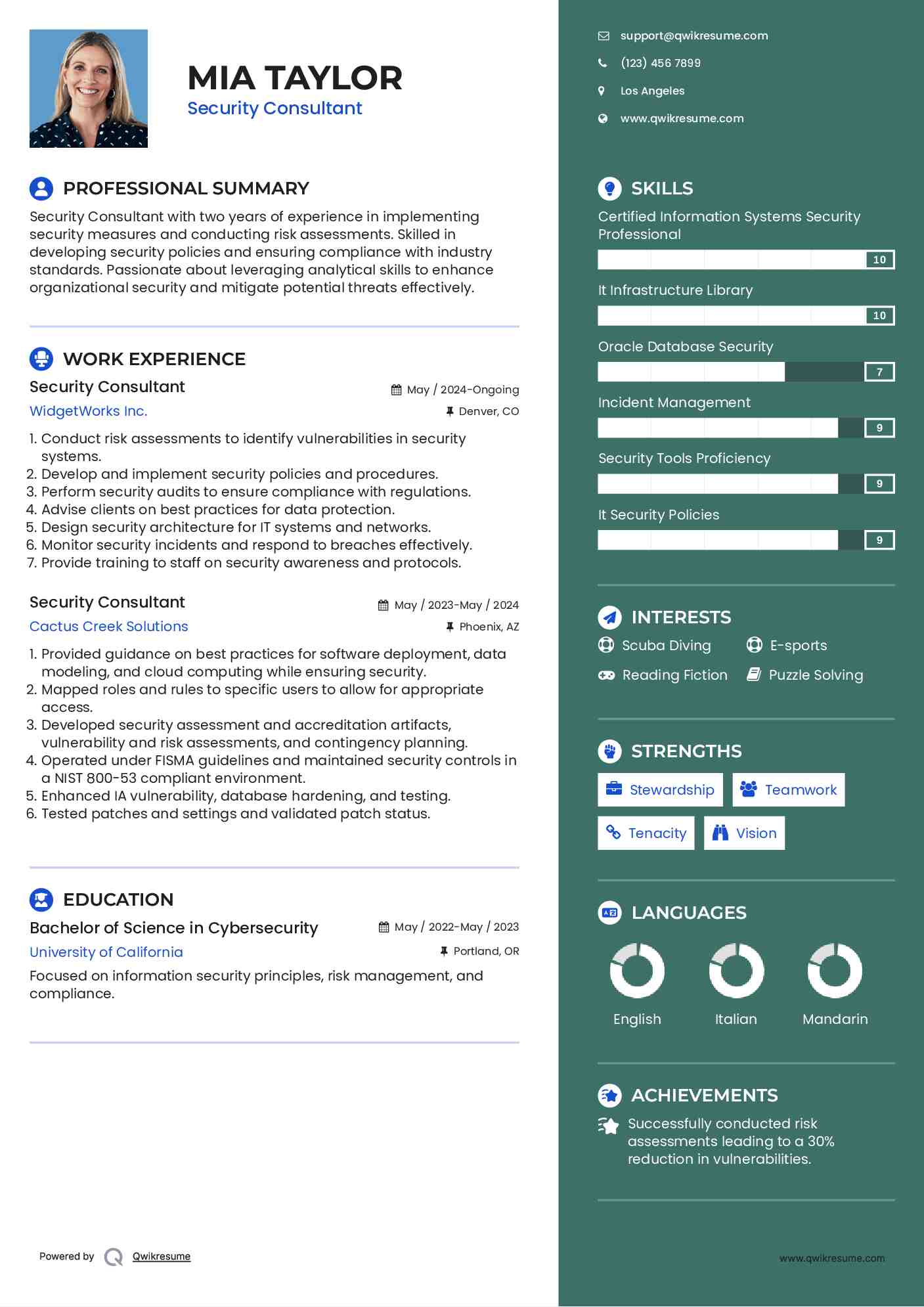 Security Consultant Resume Example
