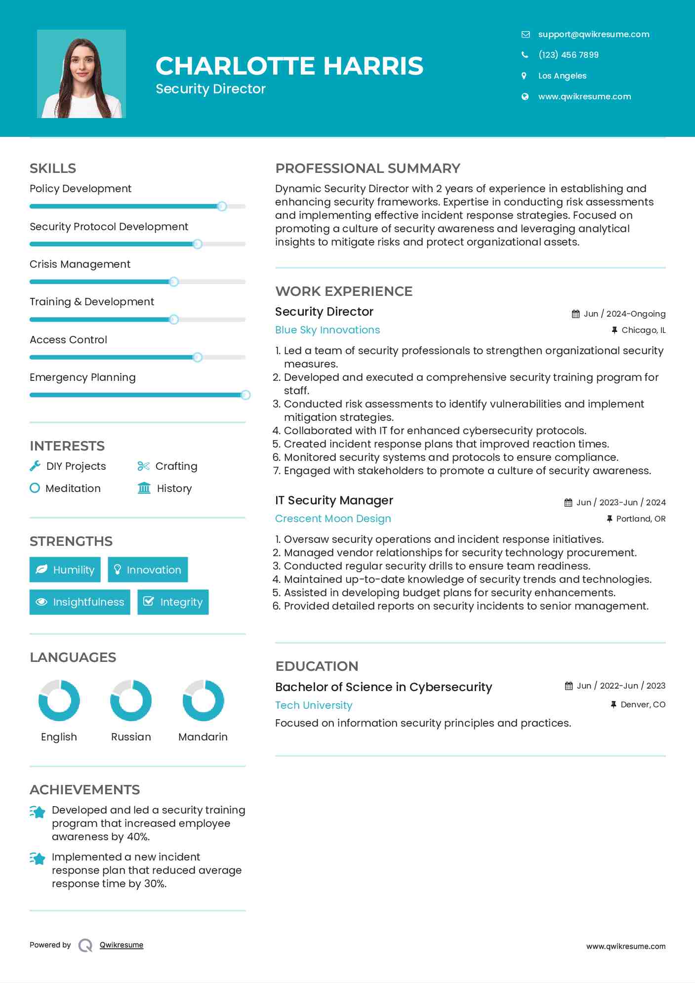 Security Director Resume Model