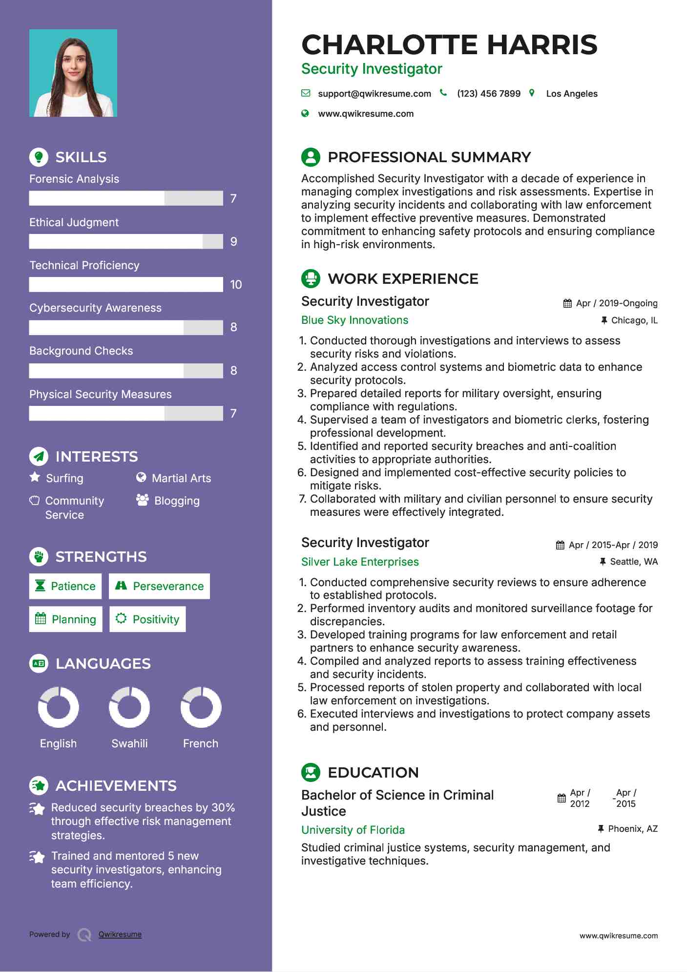 Security Investigator Resume Example