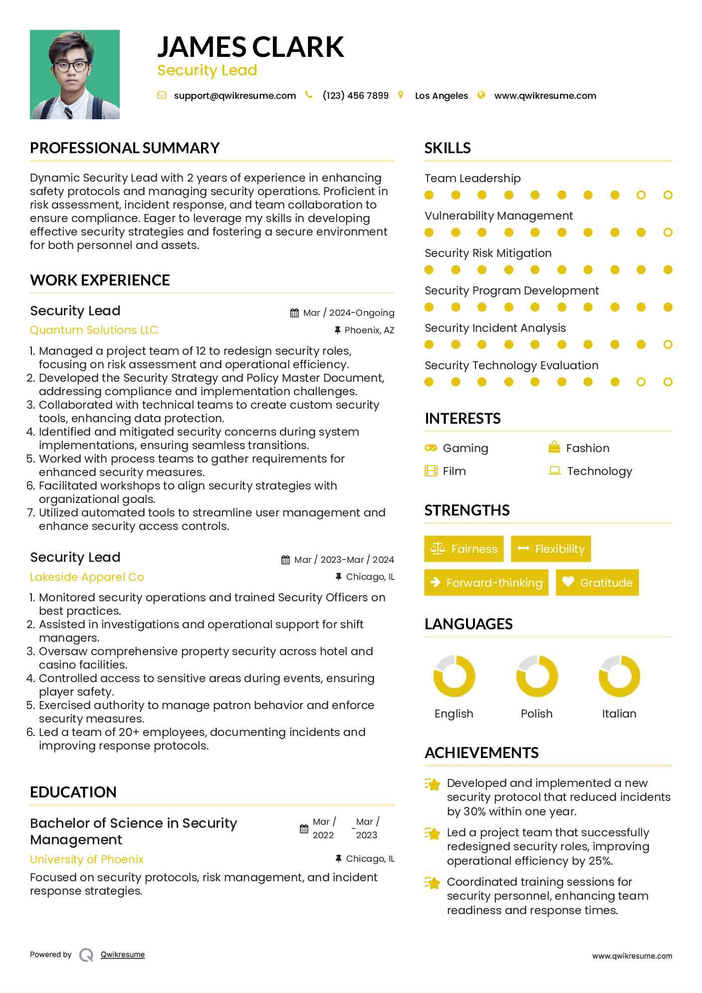 Security Lead Resume Example