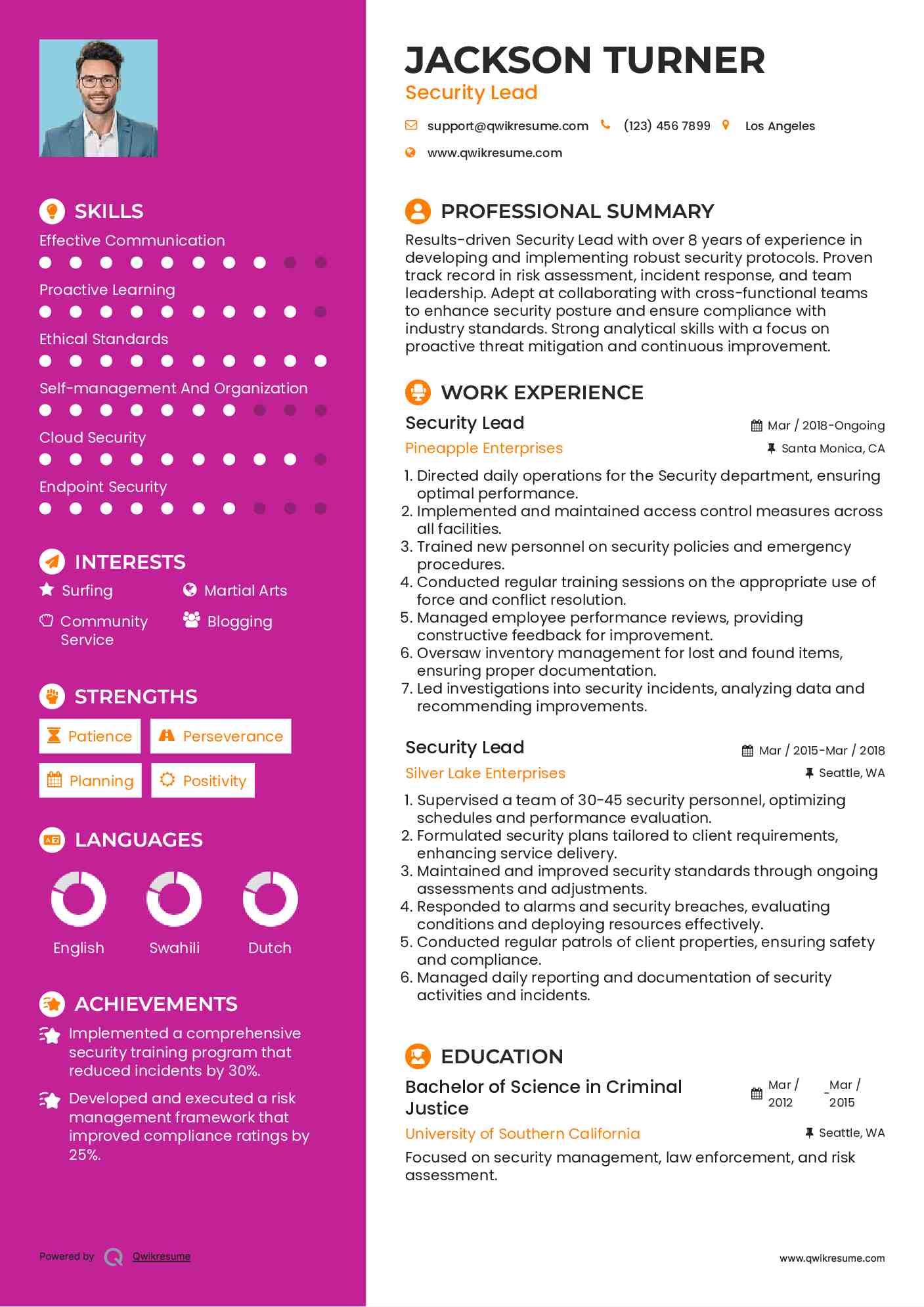 Security Lead Resume Model