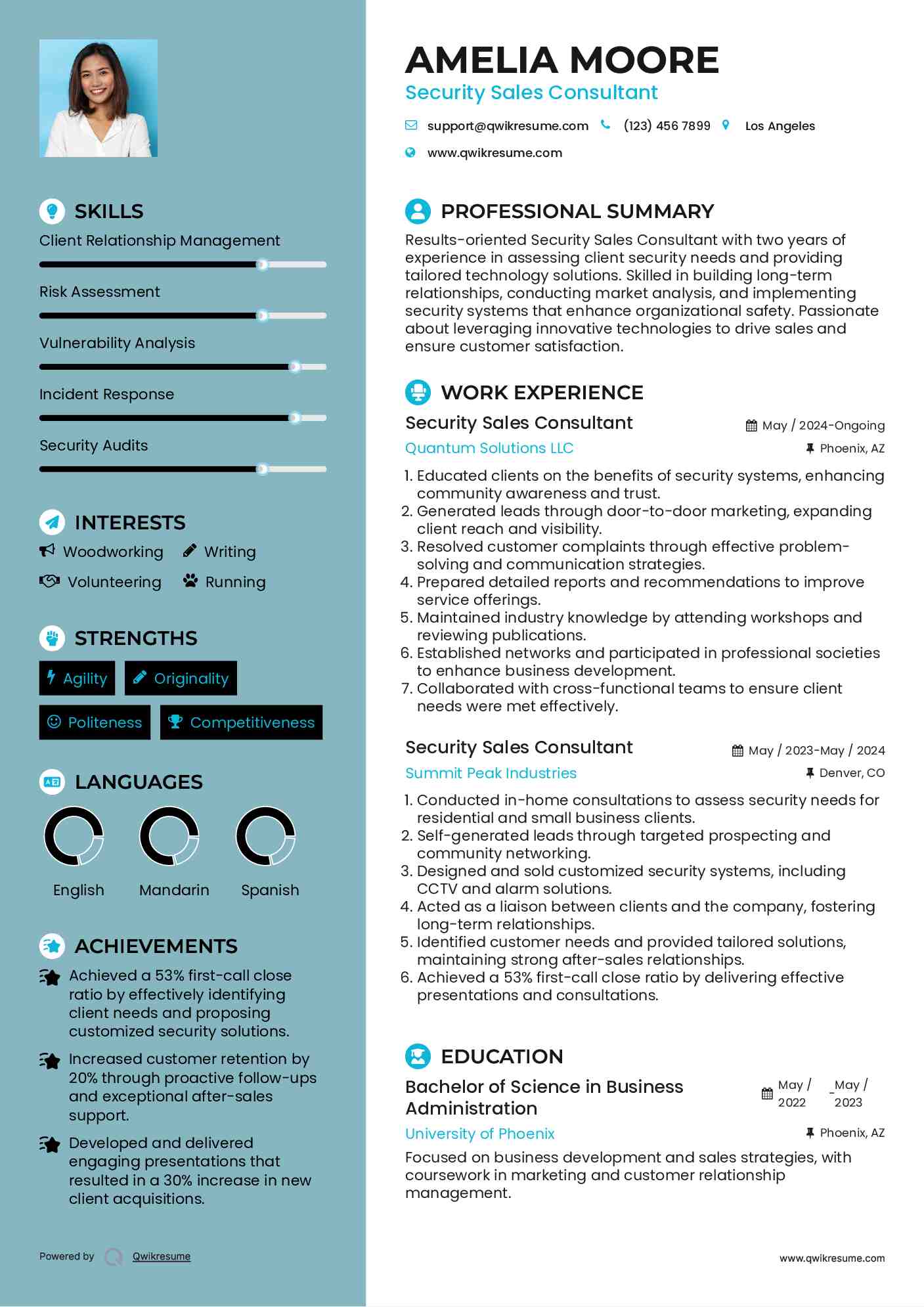Security Sales Consultant Resume Template