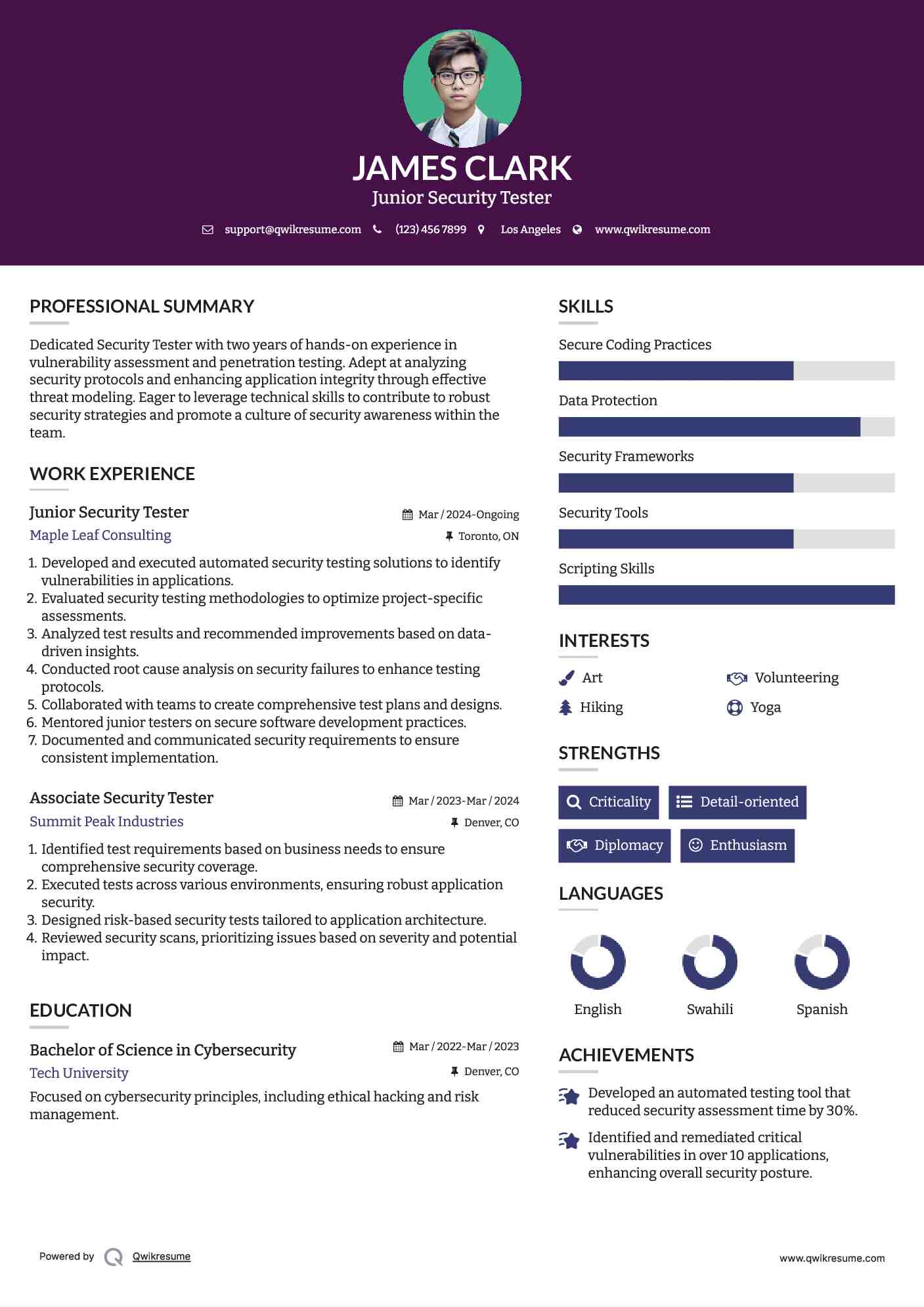 Junior Security Tester Resume Sample