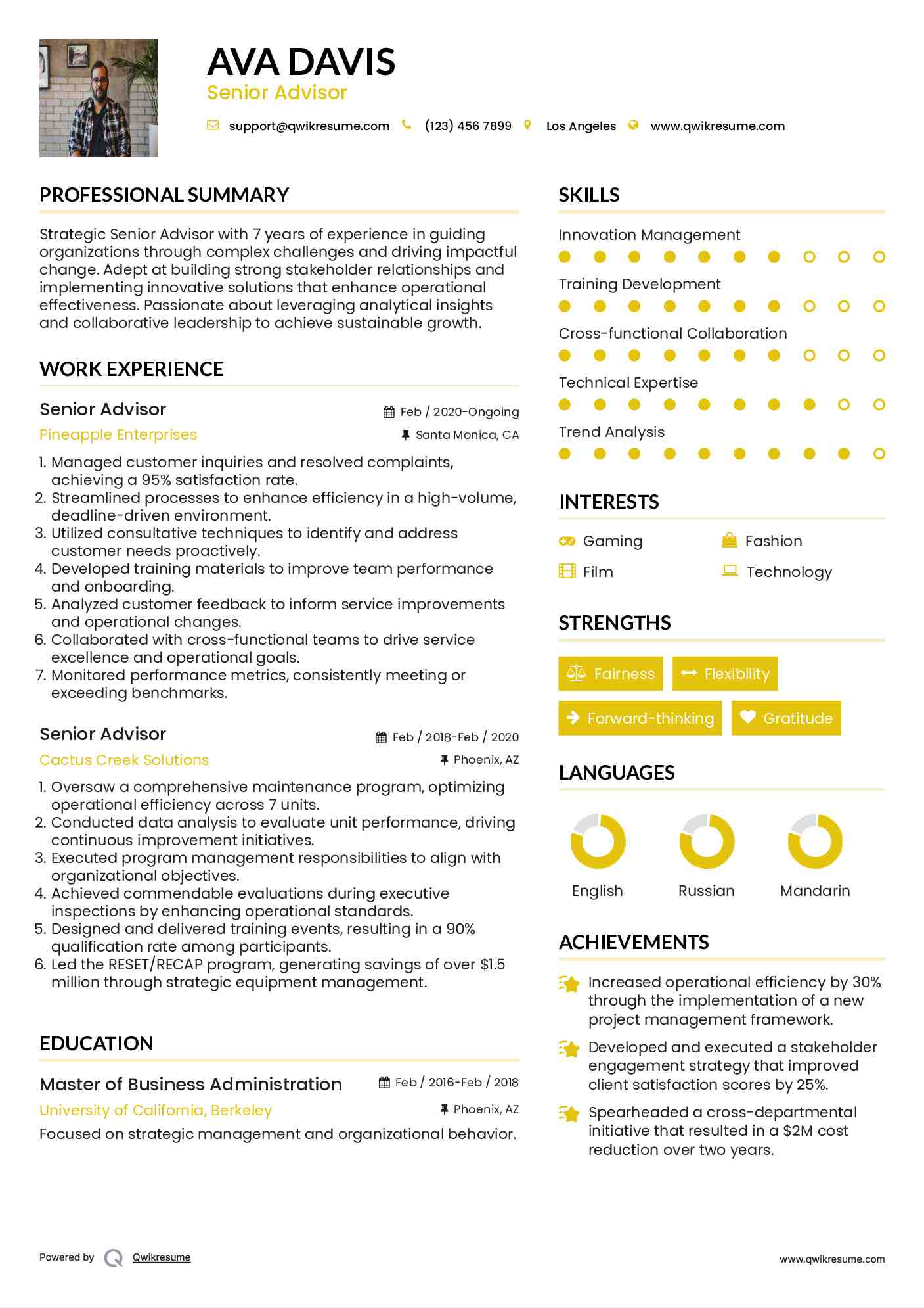 Senior Advisor Resume Format