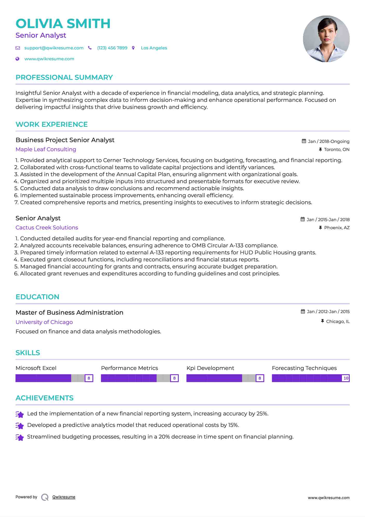 Business Project Senior Analyst Resume Template
